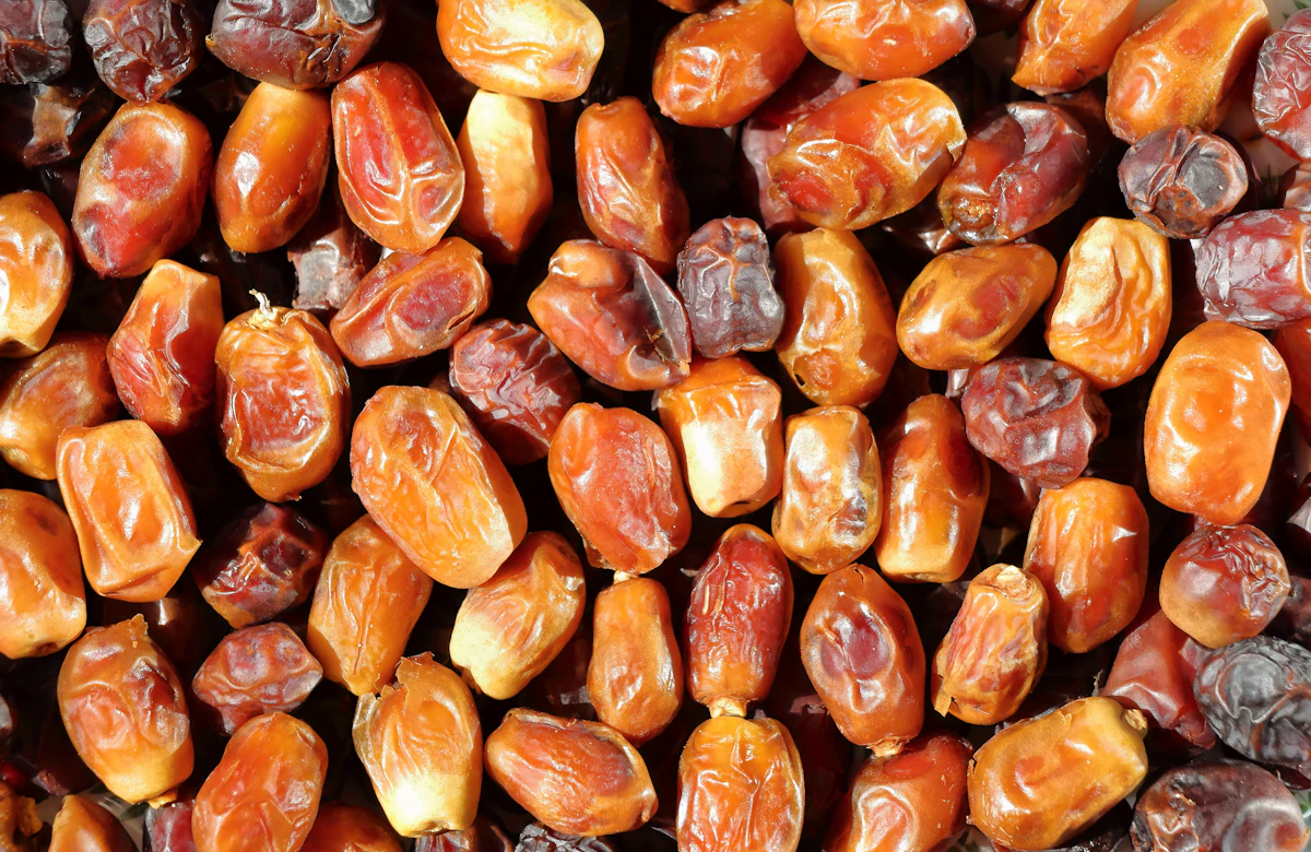 Premium dried fruit snacks