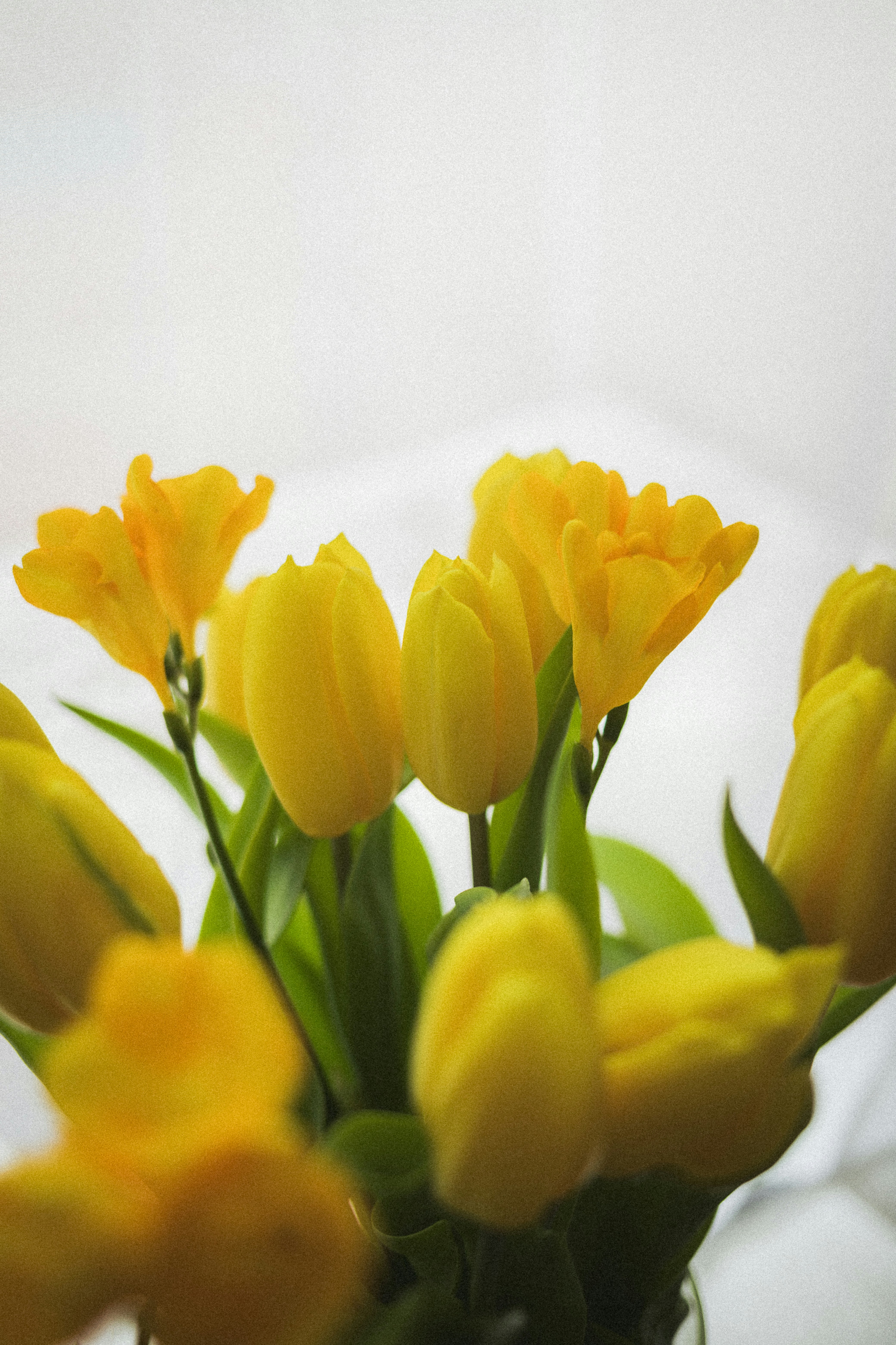 Photo by nikita_pishchugin