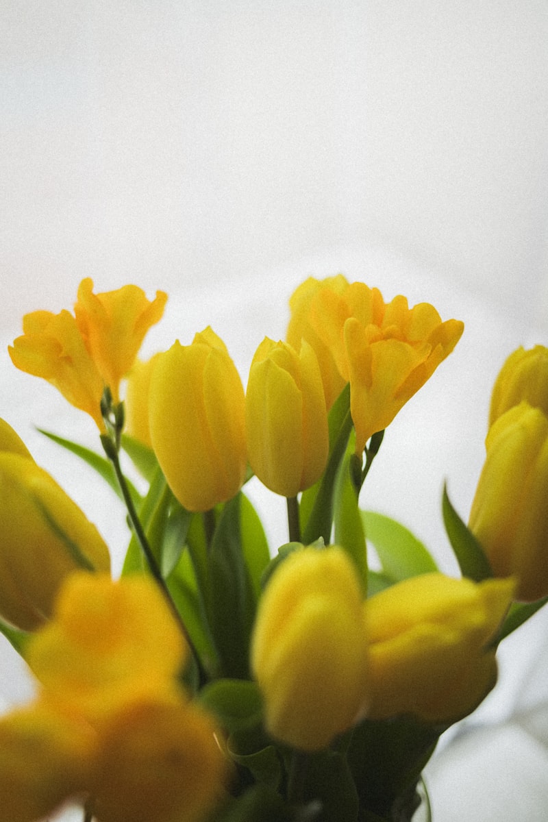 Gelbe Tulpen in einem frischen Bouquet