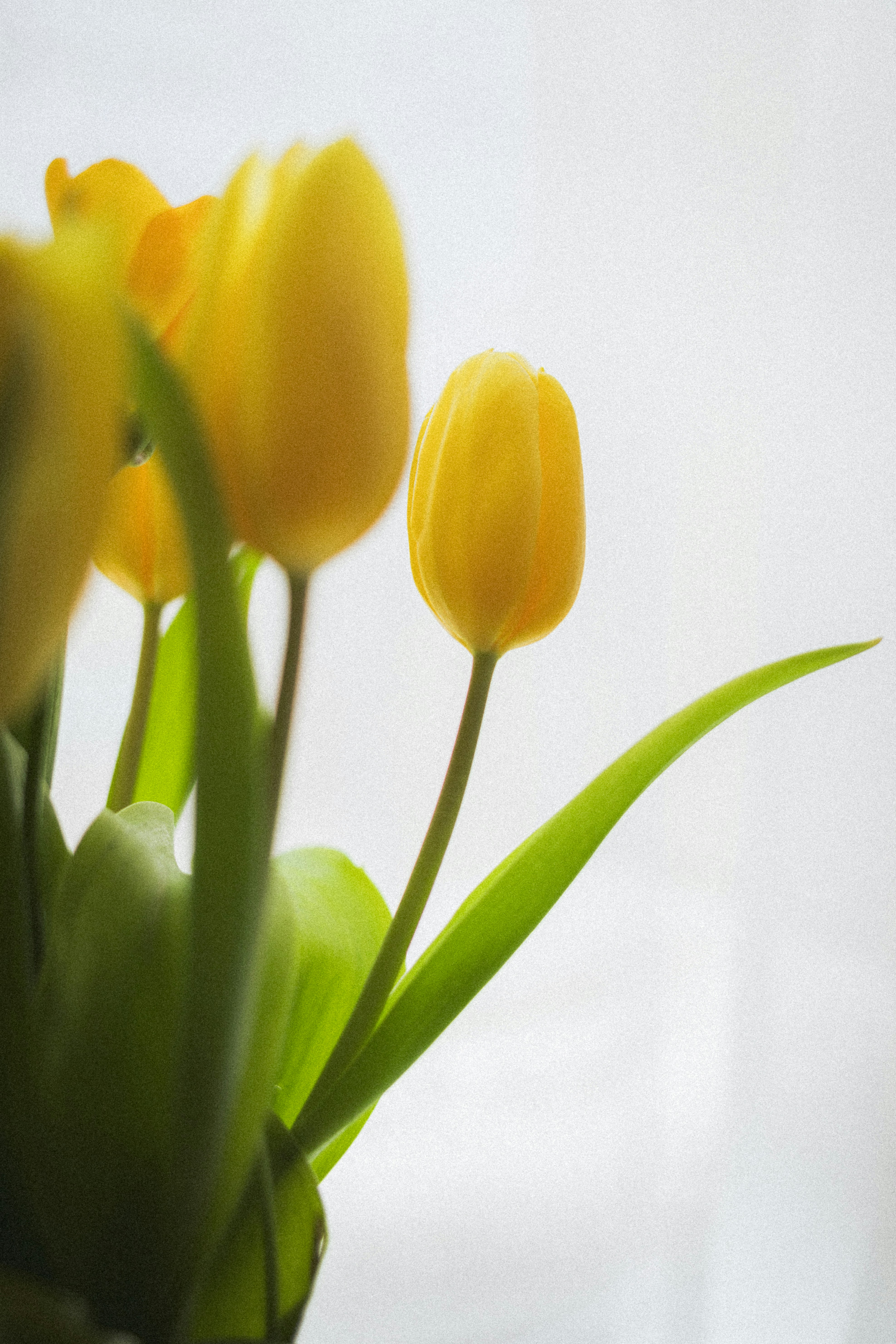 Photo by nikita_pishchugin