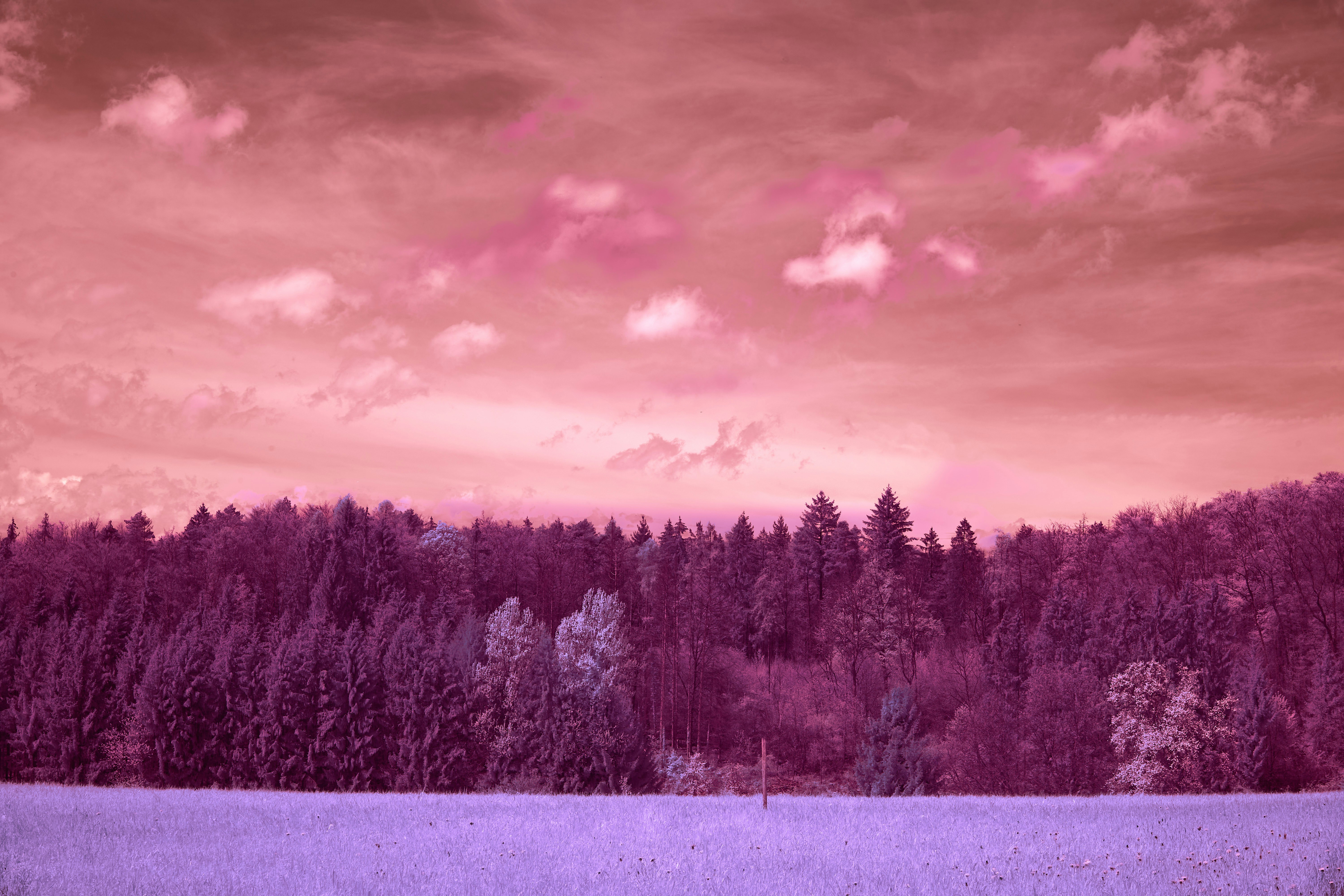 Photo by wolfgang_hasselmann