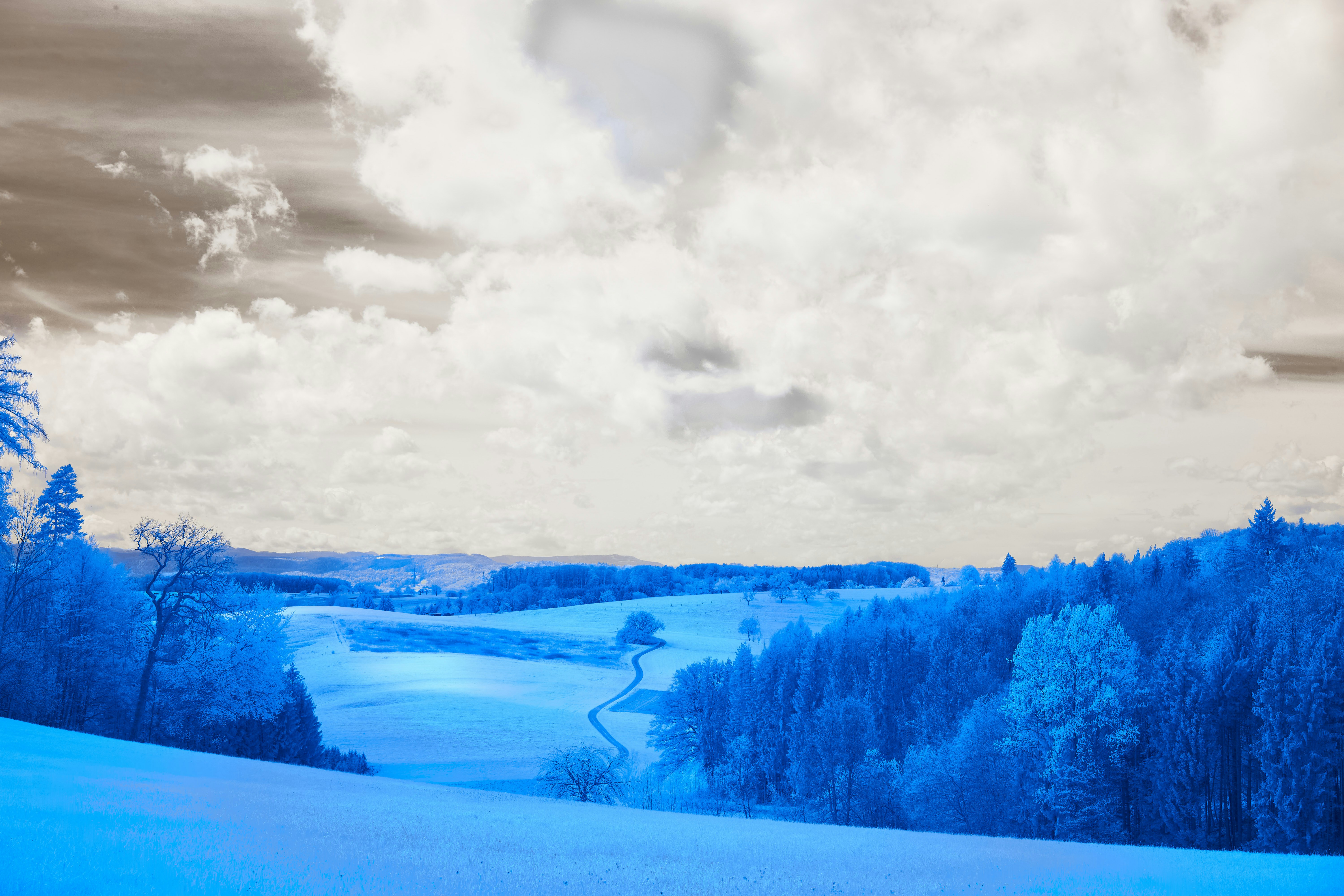 Photo by wolfgang_hasselmann