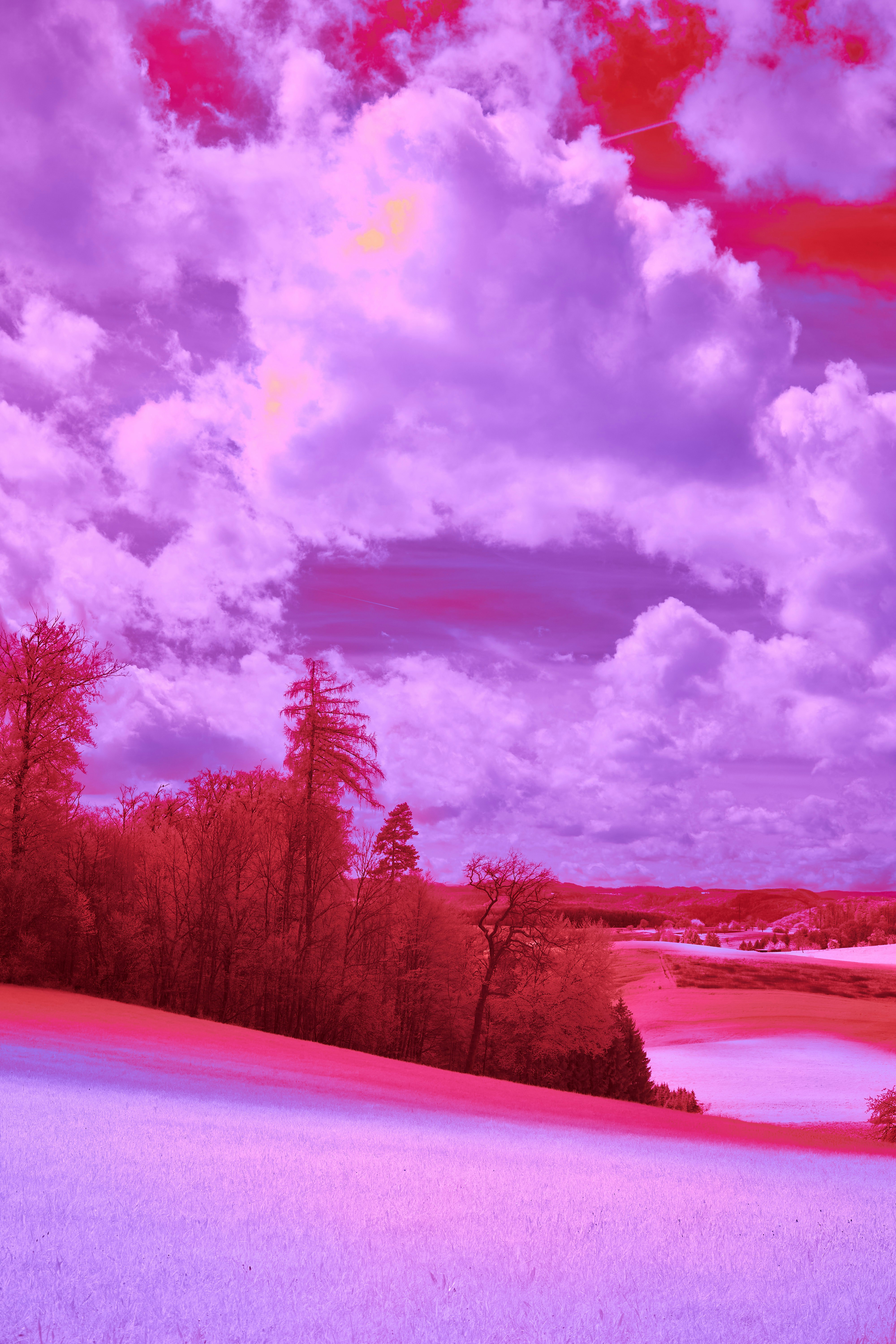 Photo by wolfgang_hasselmann