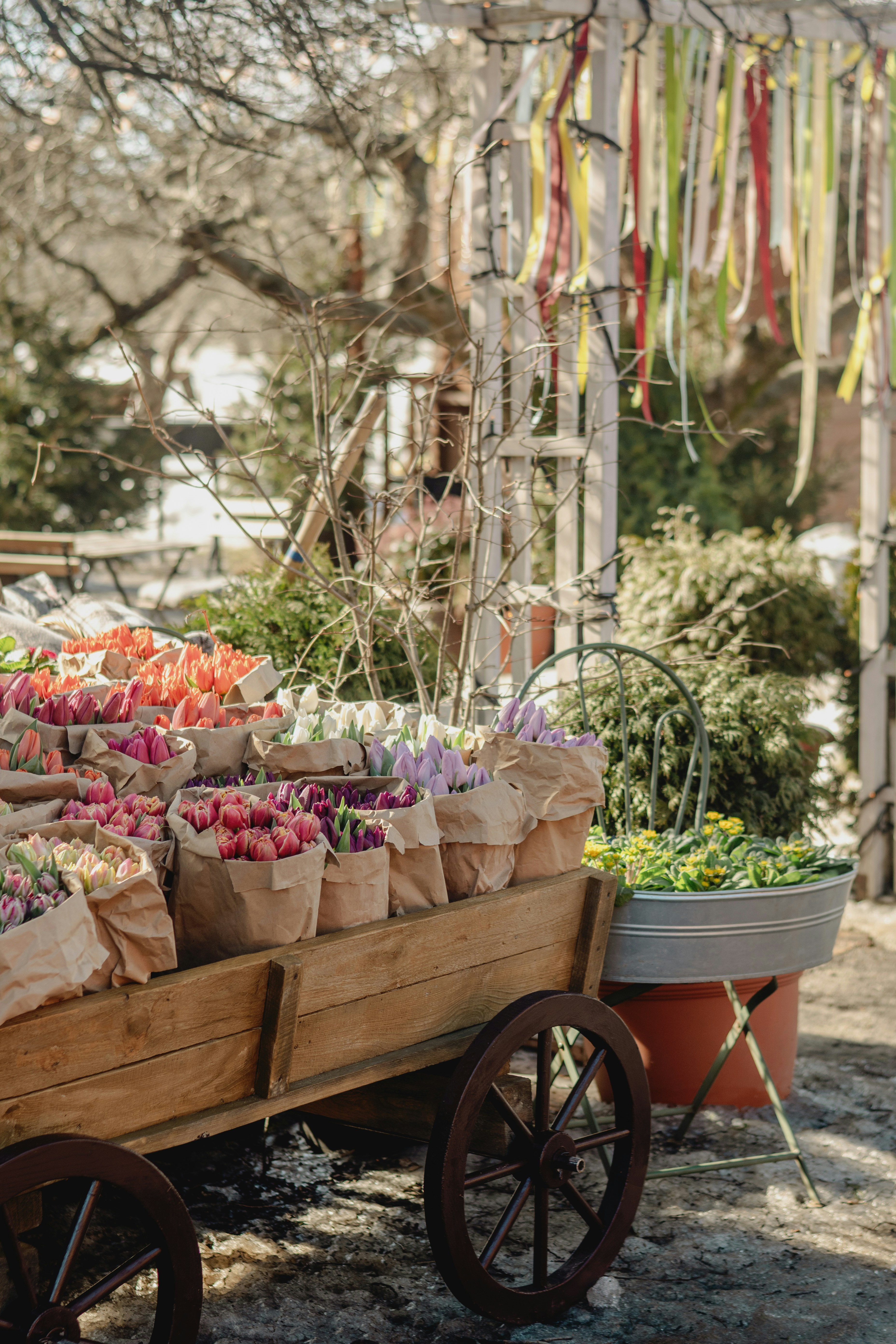 Photo by eugenivy_now