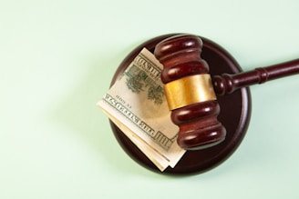 A gavel rests on a sound block with money.