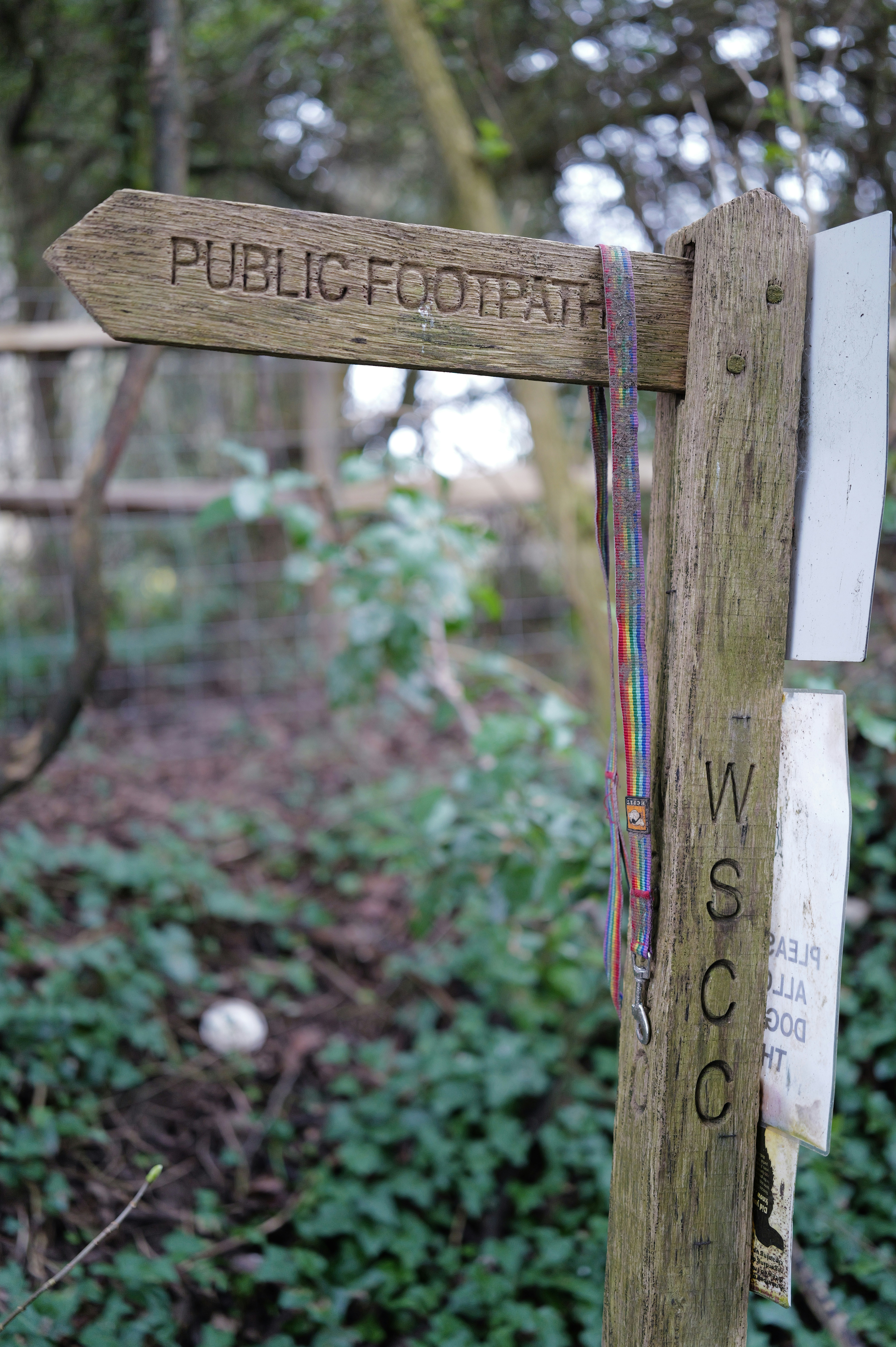 Wooden public footpath signpost in a forest.