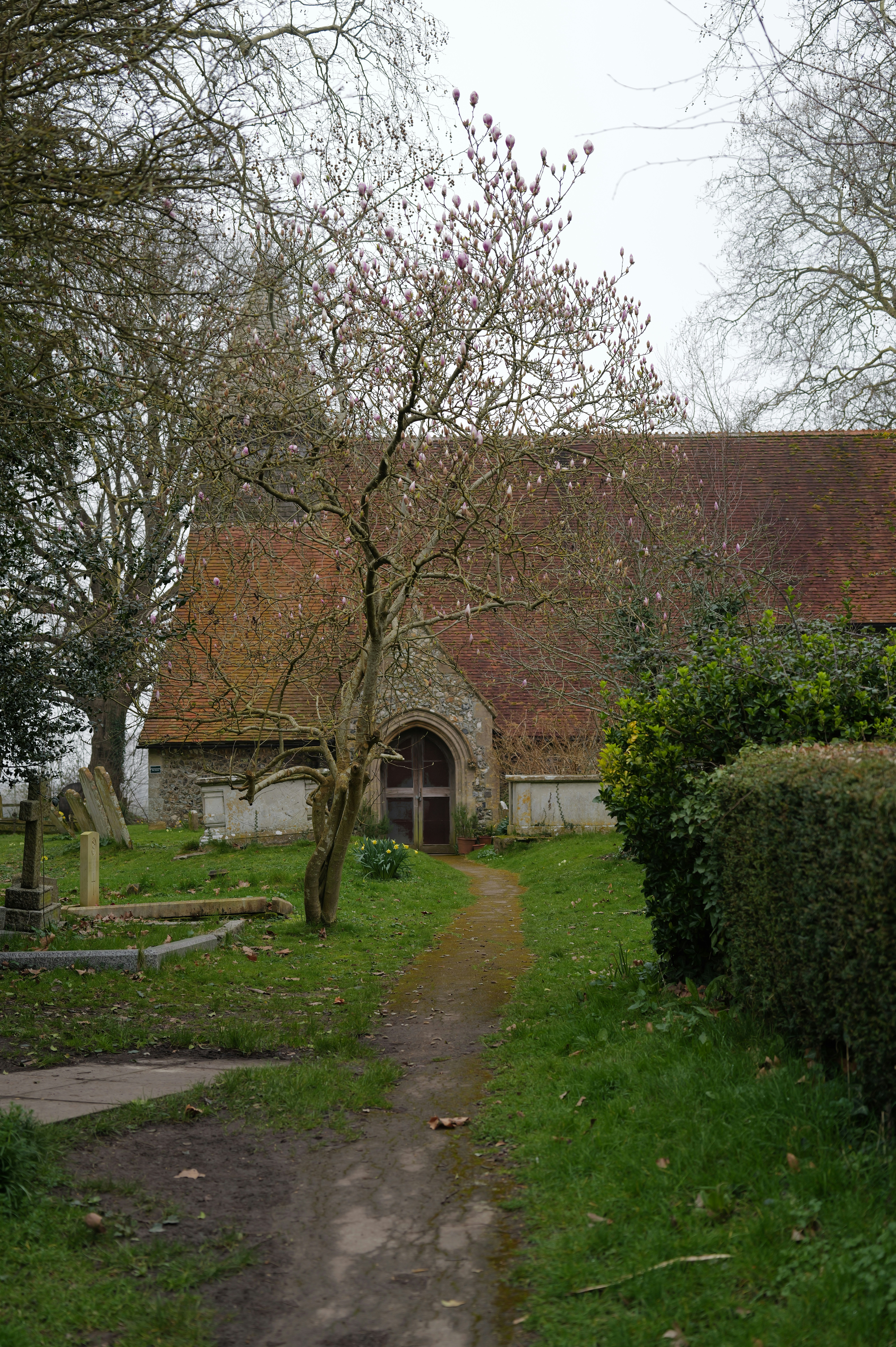 A path leads to a church entrance with gravestones.