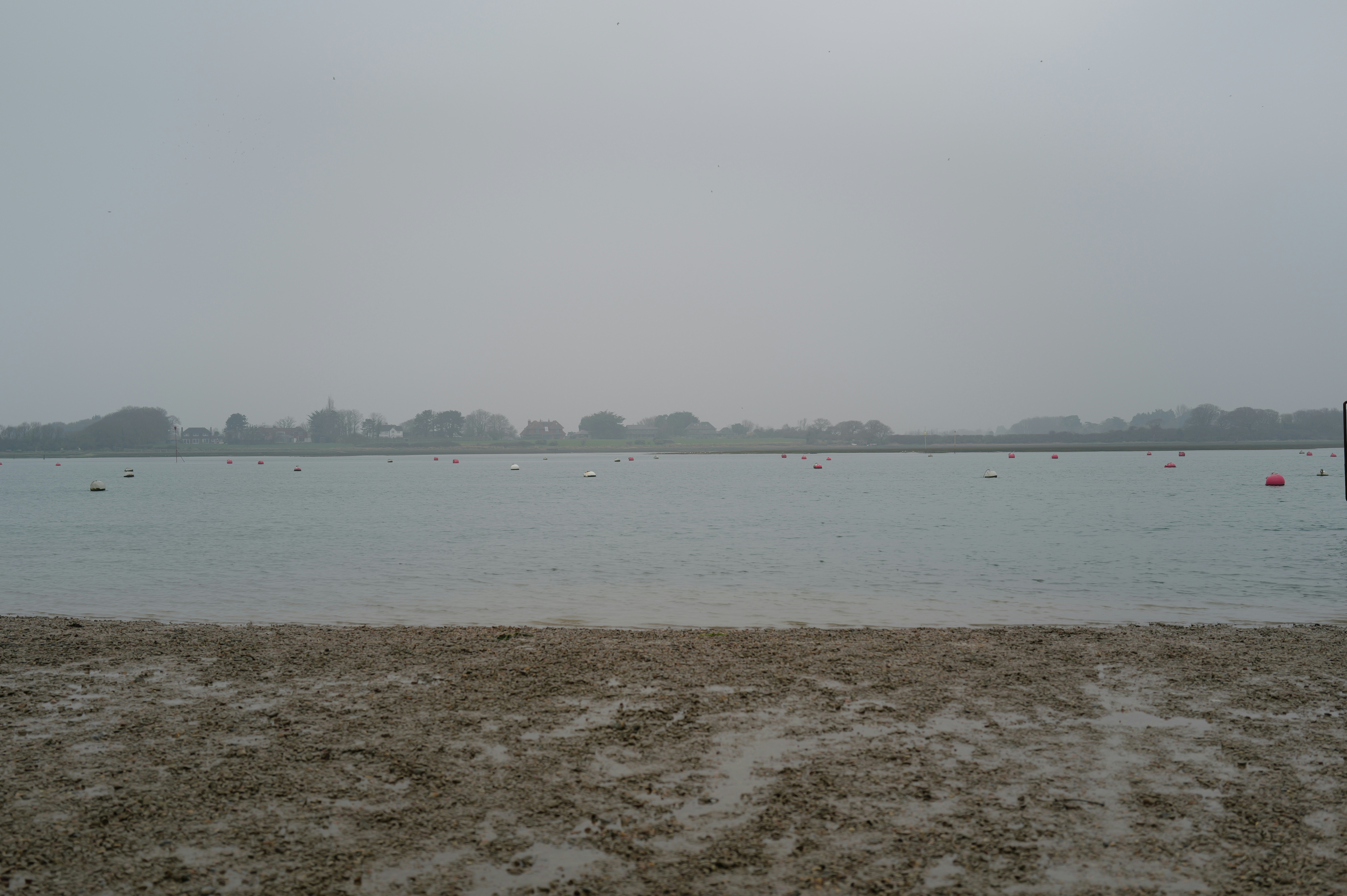 A calm lake on a foggy day