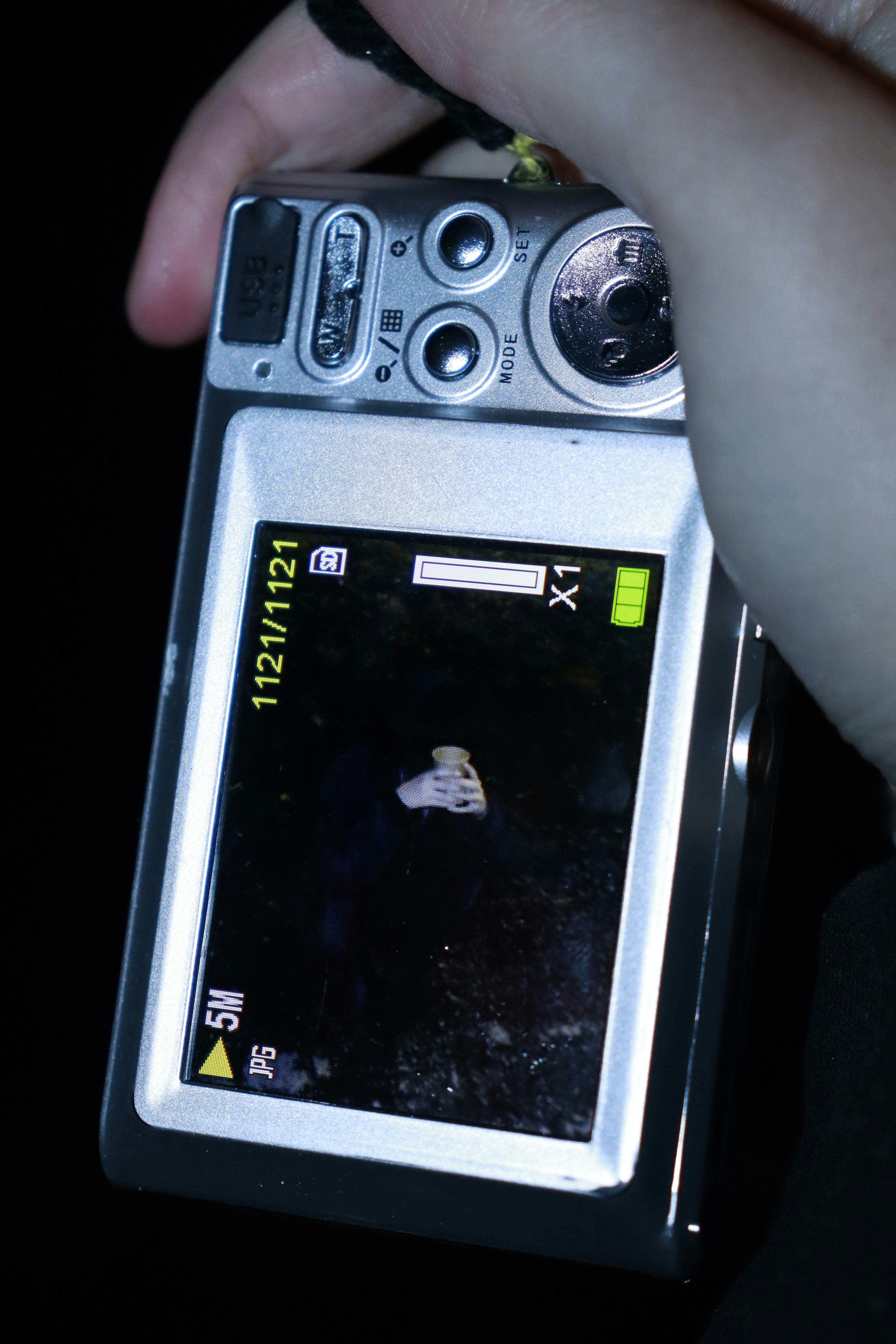 Digital camera screen showing a small jellyfish.