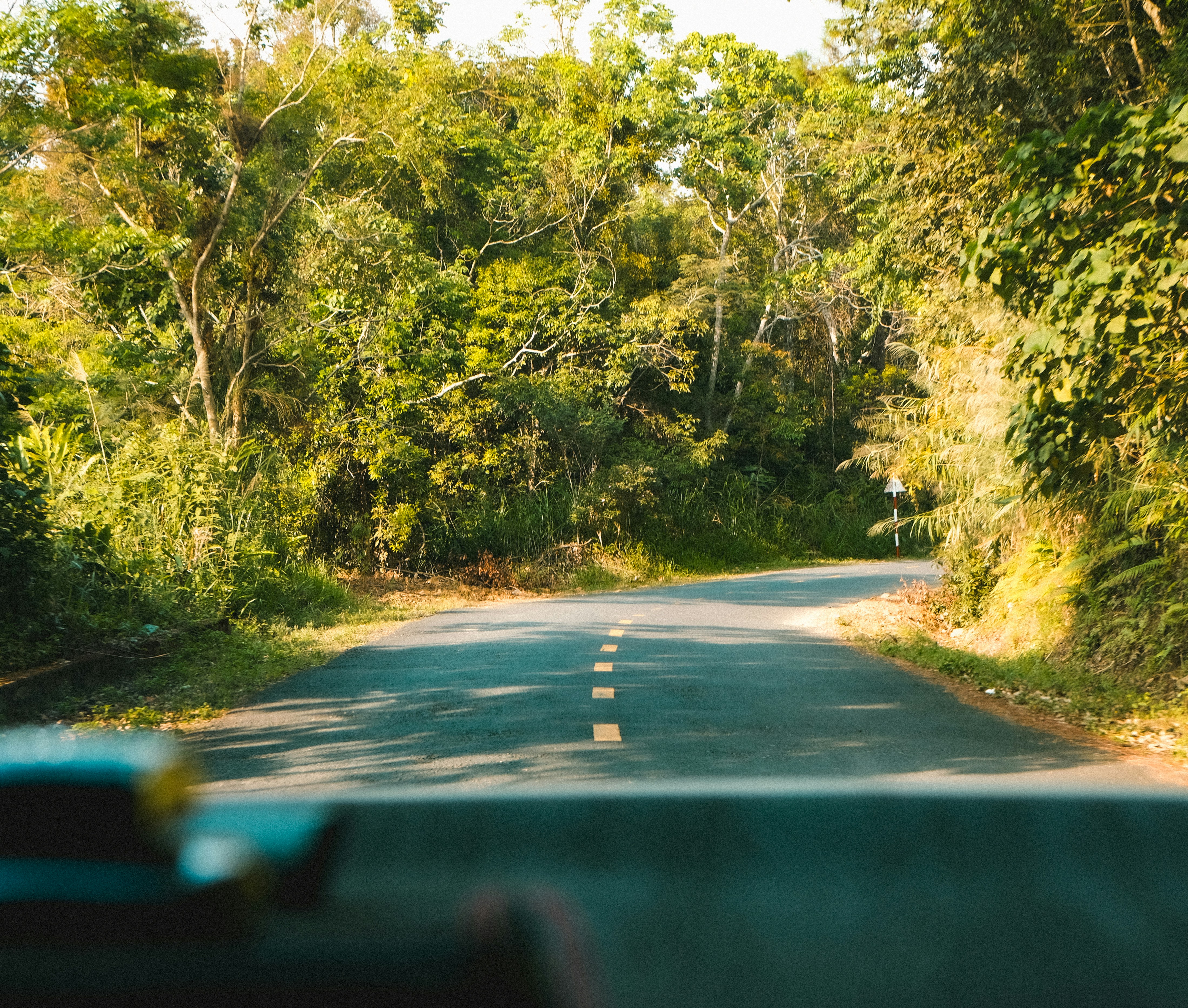 Photo by anniehatuanh