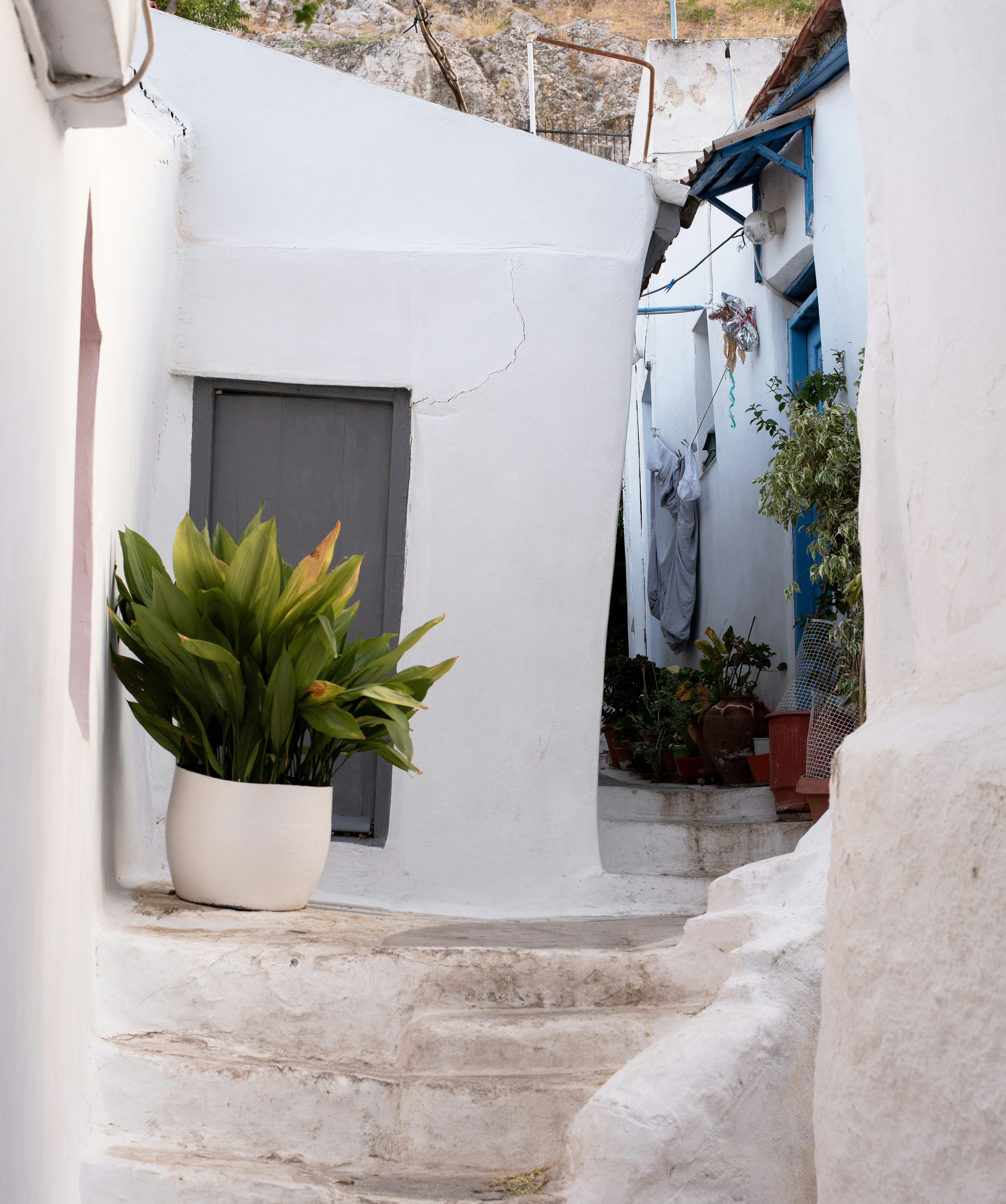 Photo by nadine_gern