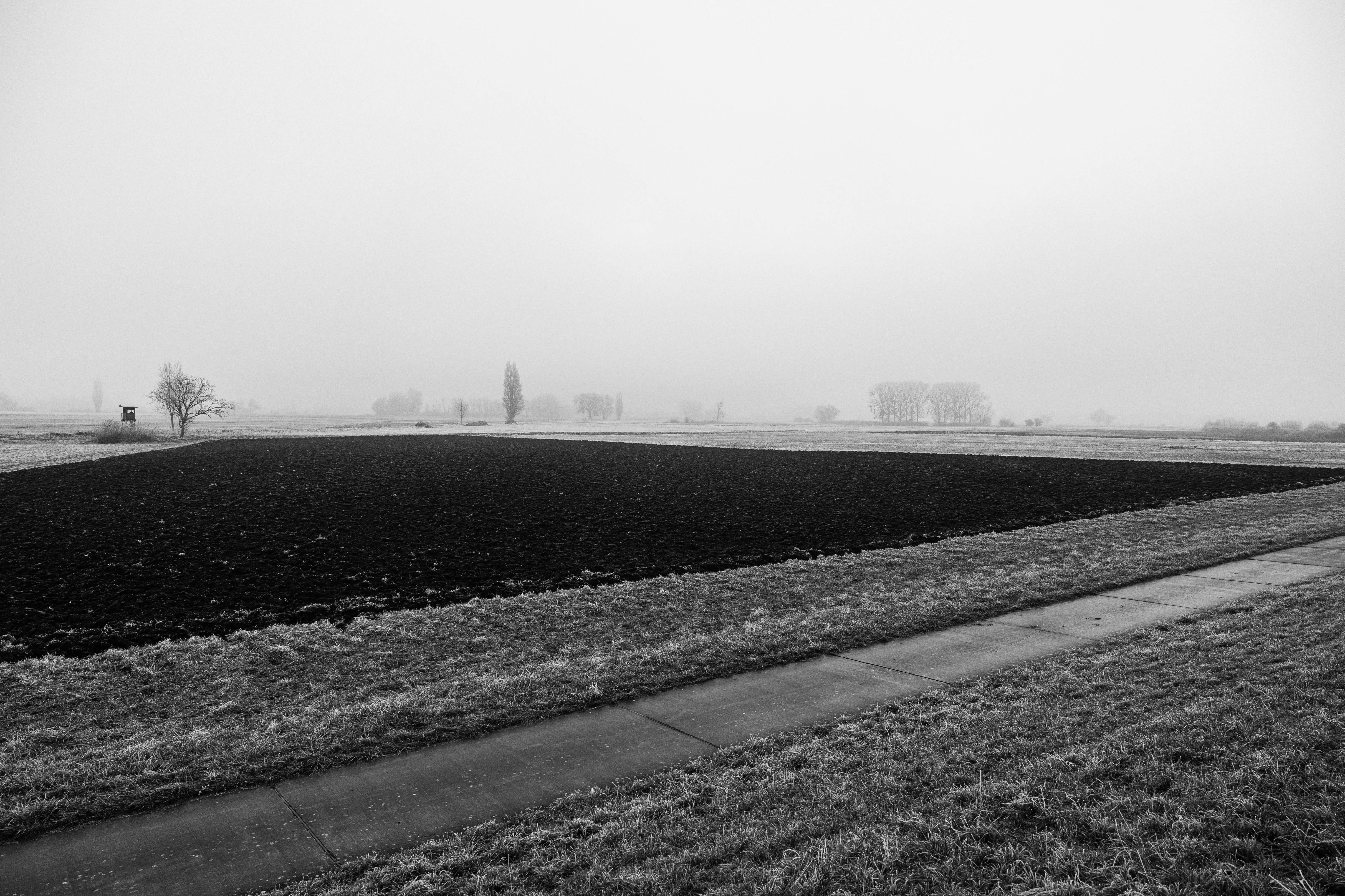 Un campo arado en un día de niebla