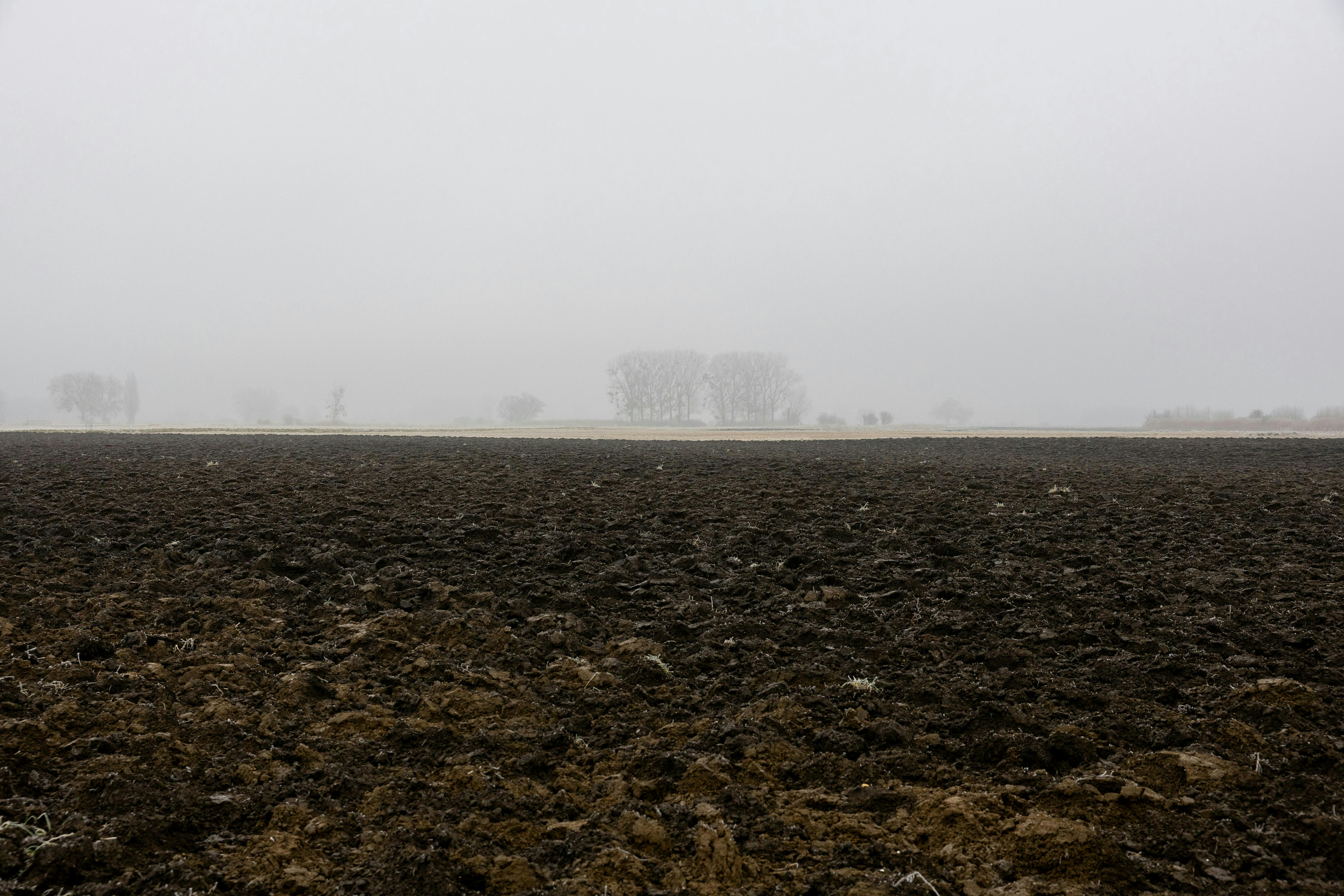 Photo by timonreinhard