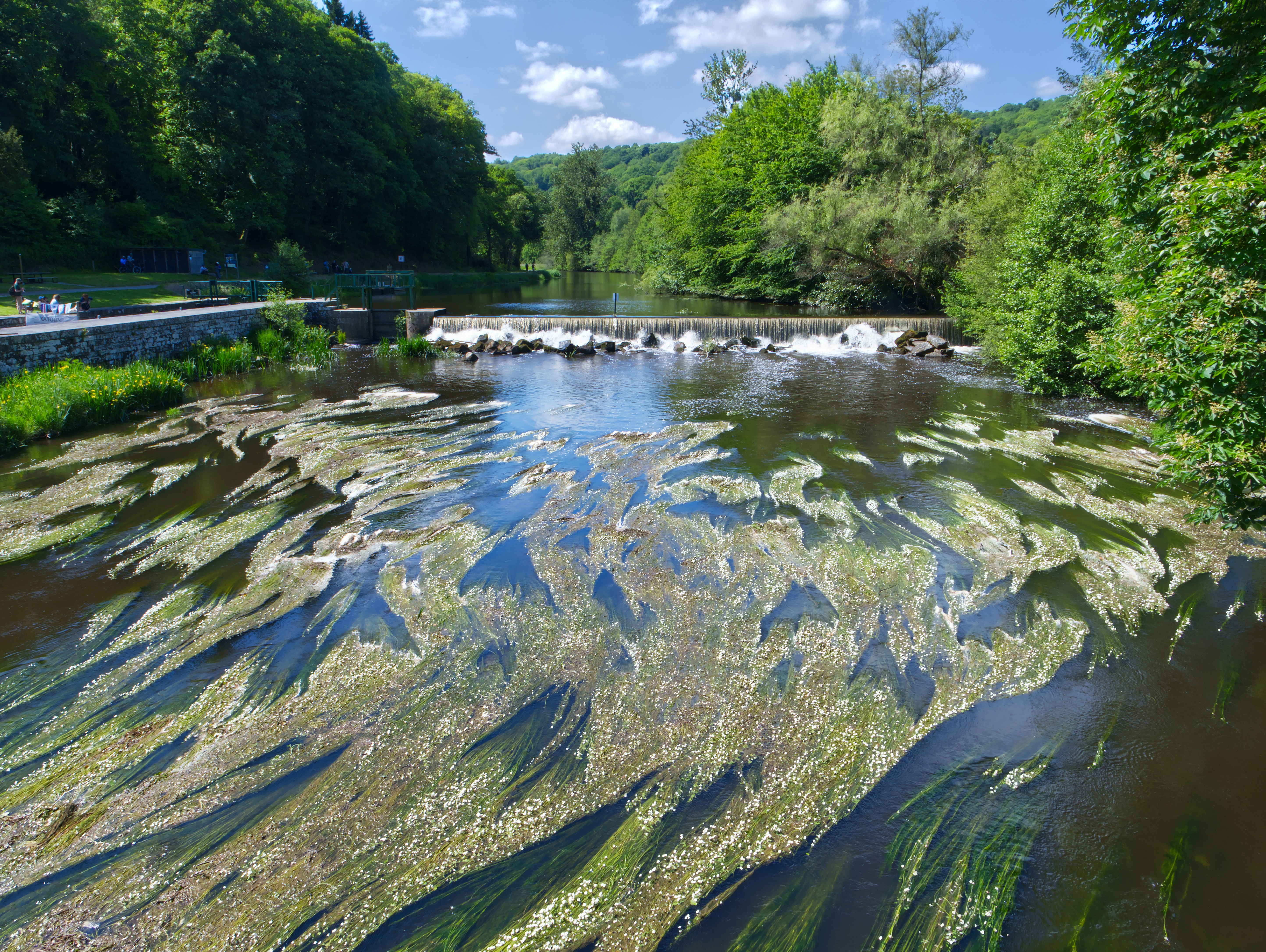 River with foamy algae flowing over rocks