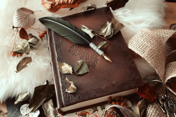 A quill pen rests on an old leather-bound book.