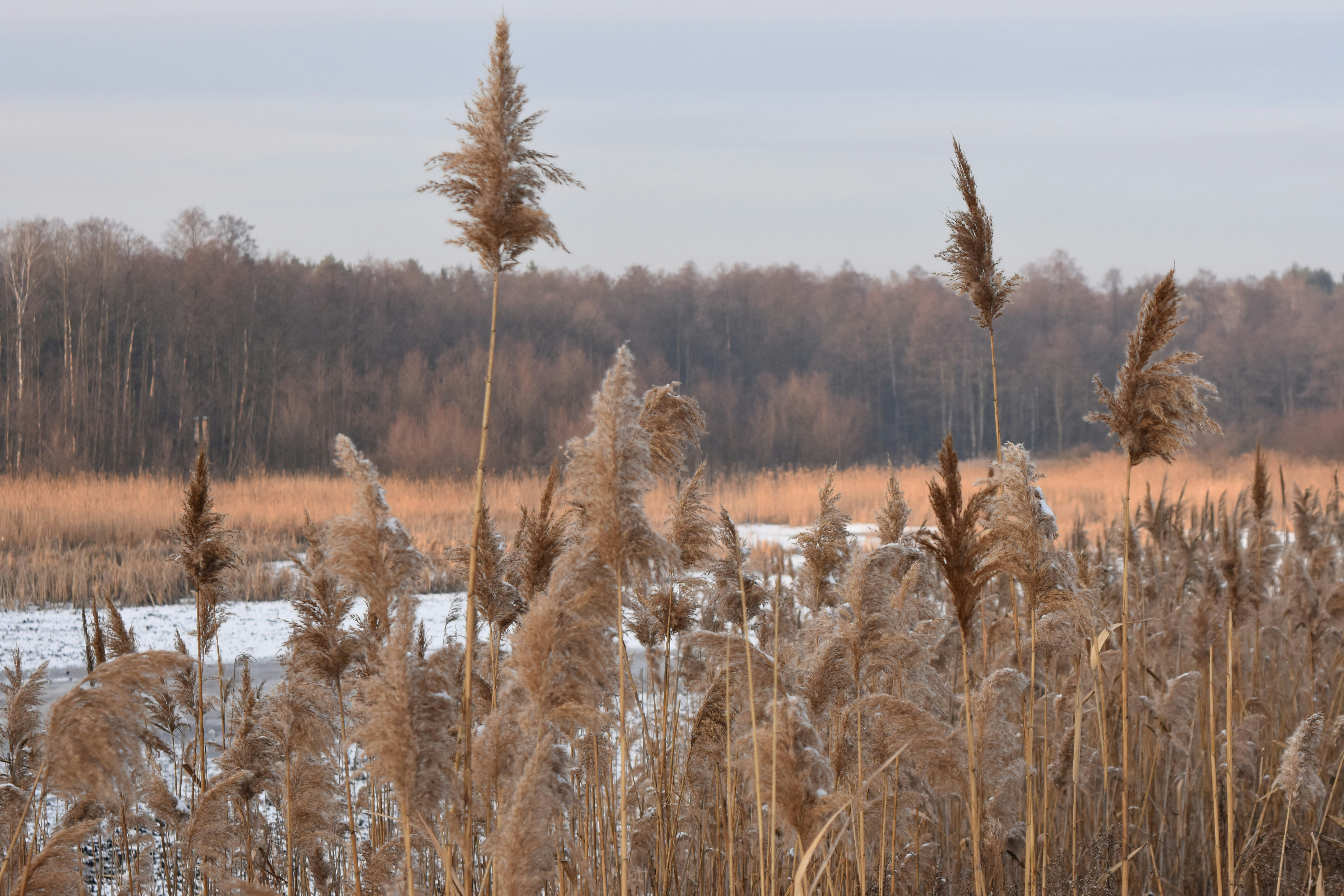 Photo by alehandra13