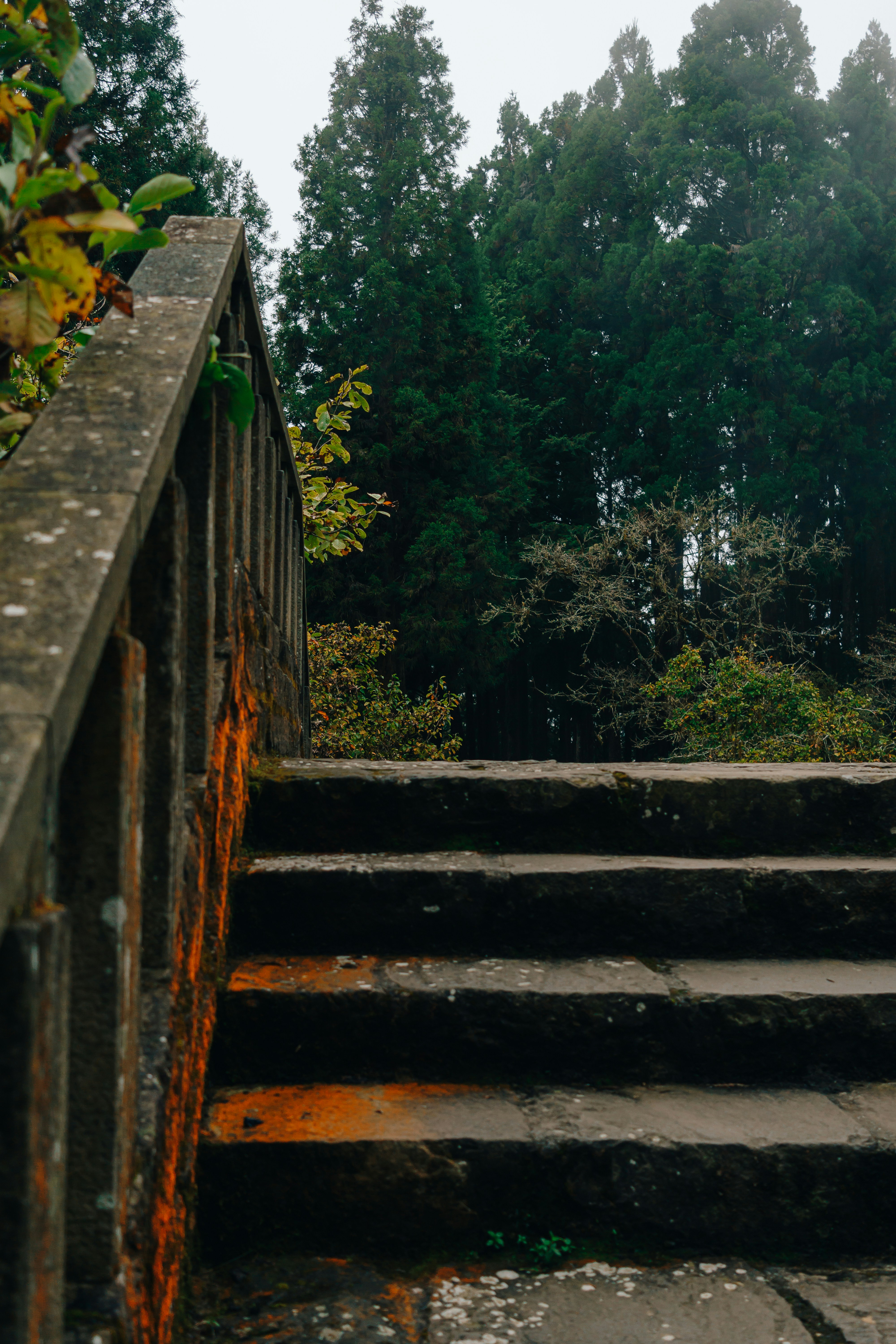 Photo by thejunefire