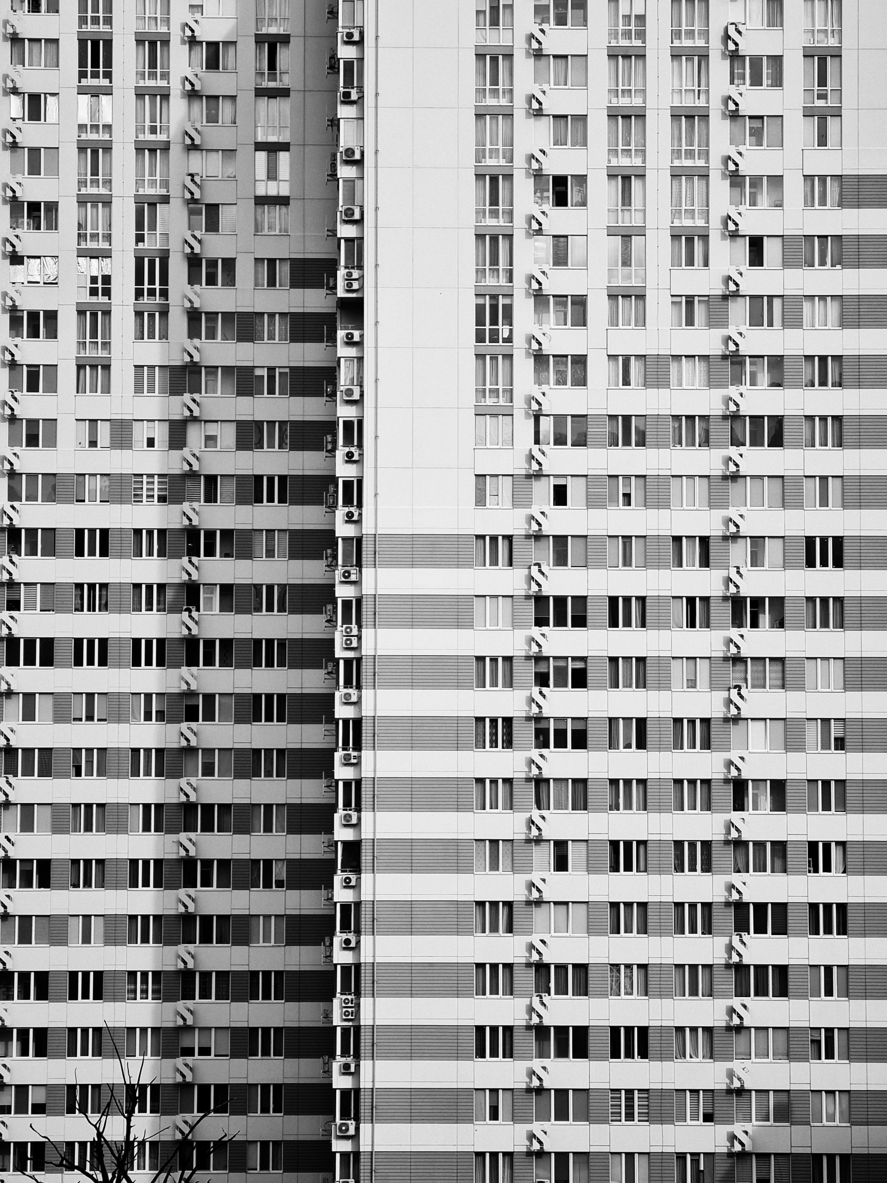 Rows of windows on a tall apartment building