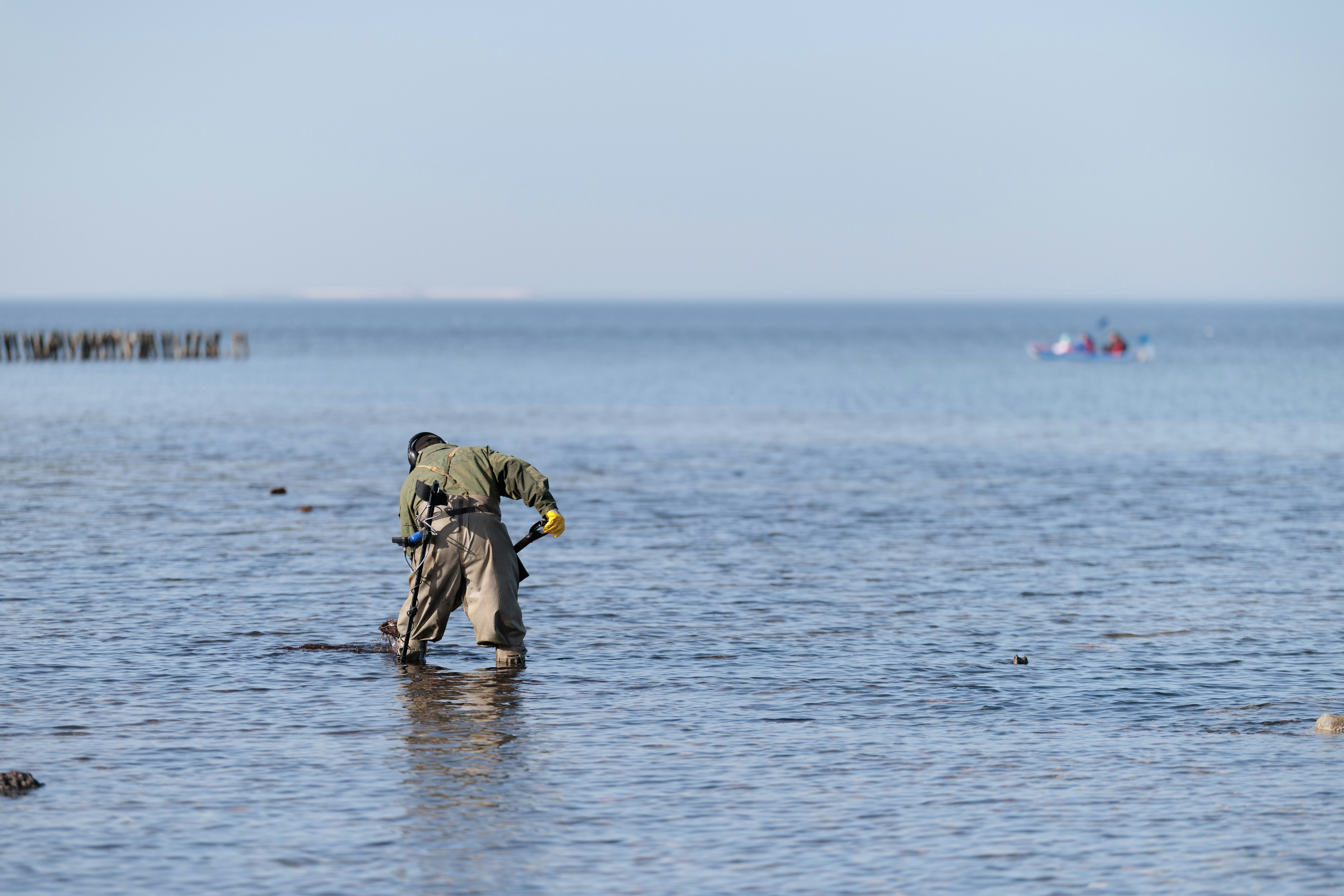 A person in waders digs in shallow water.