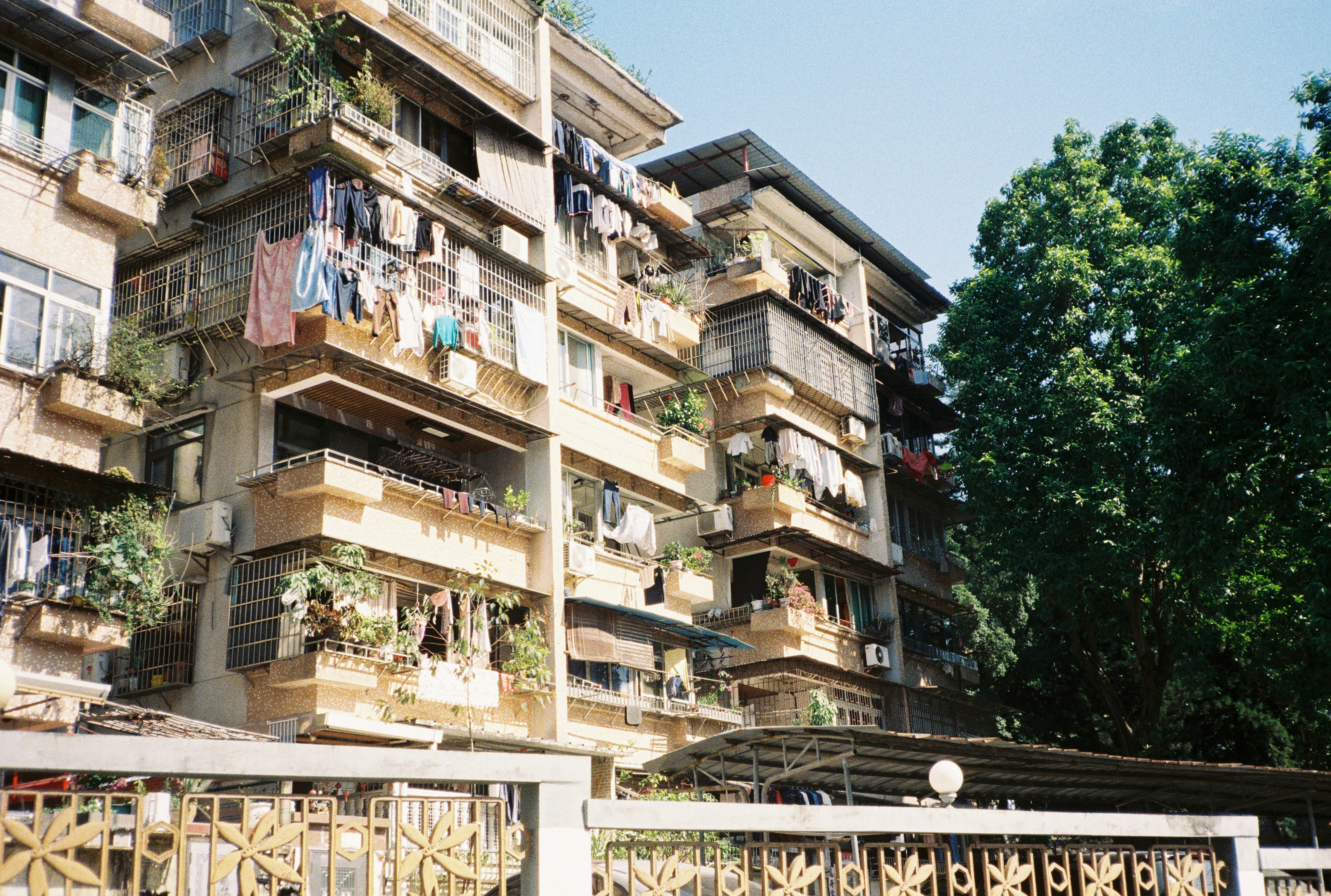 Kitchener Takes Centre Stage: How Affordability Fuels Canada's Great Real Estate Migration by 2026