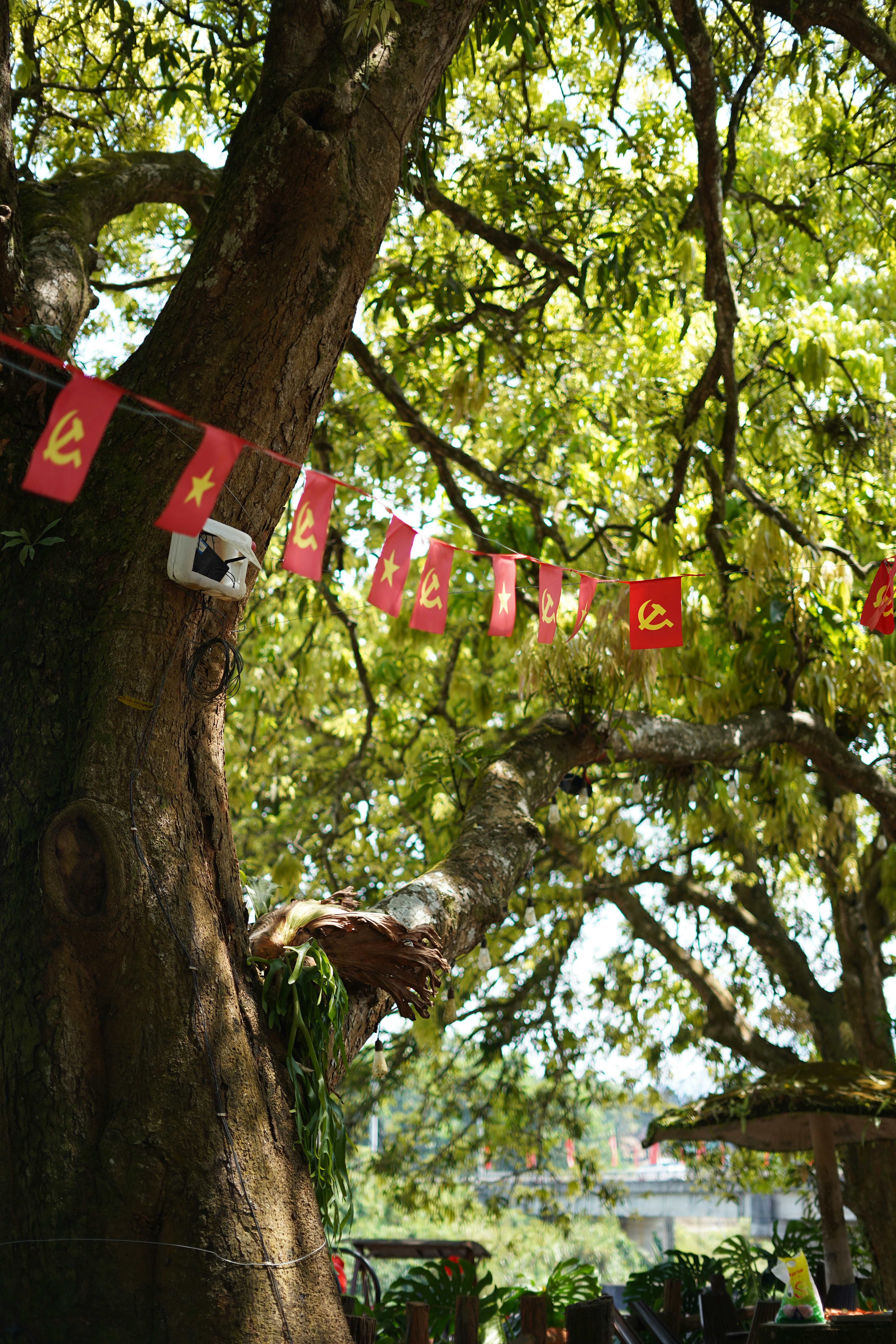 Blade Flags