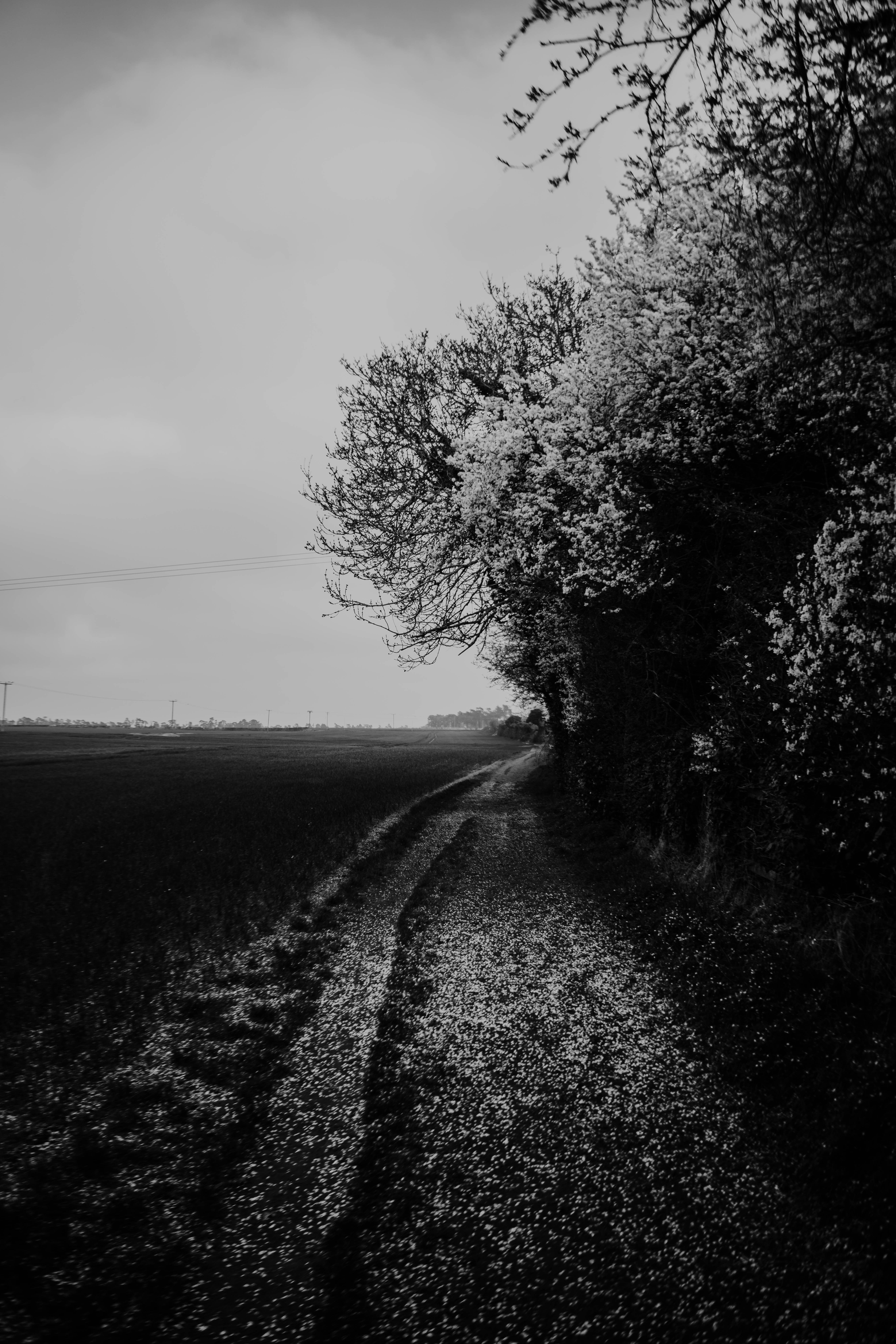 Photo by philhearing