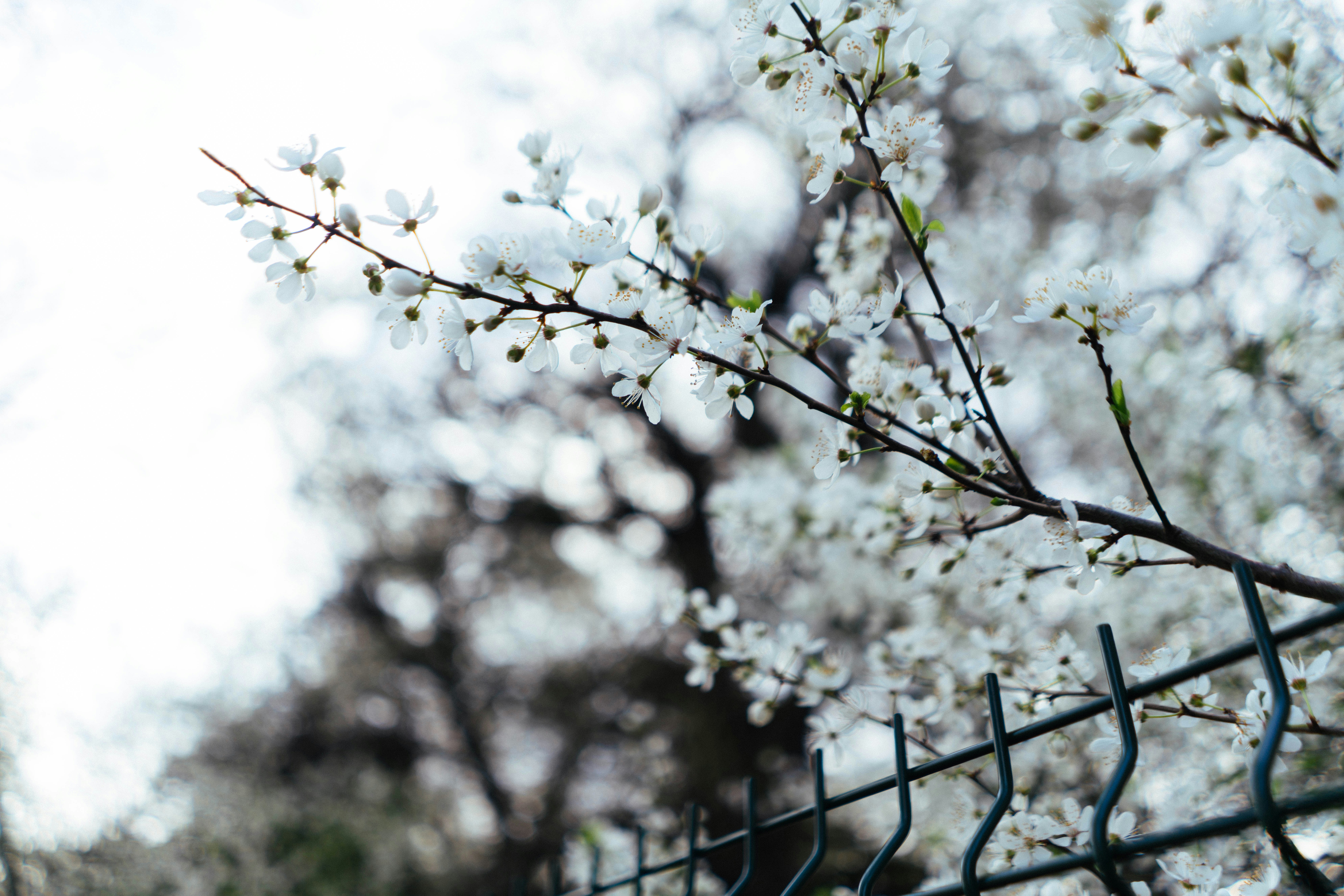 Photo by philhearing