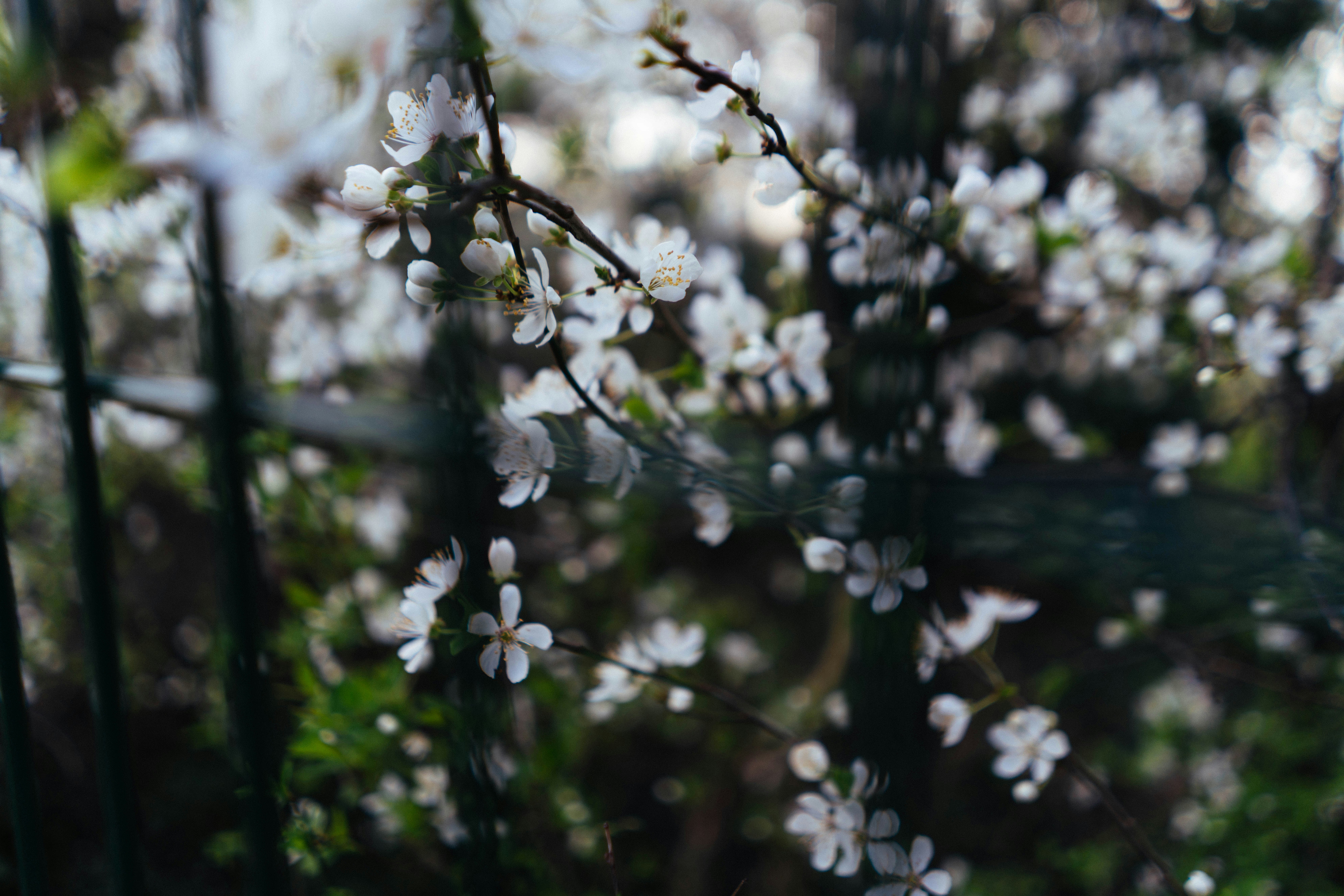 Photo by philhearing