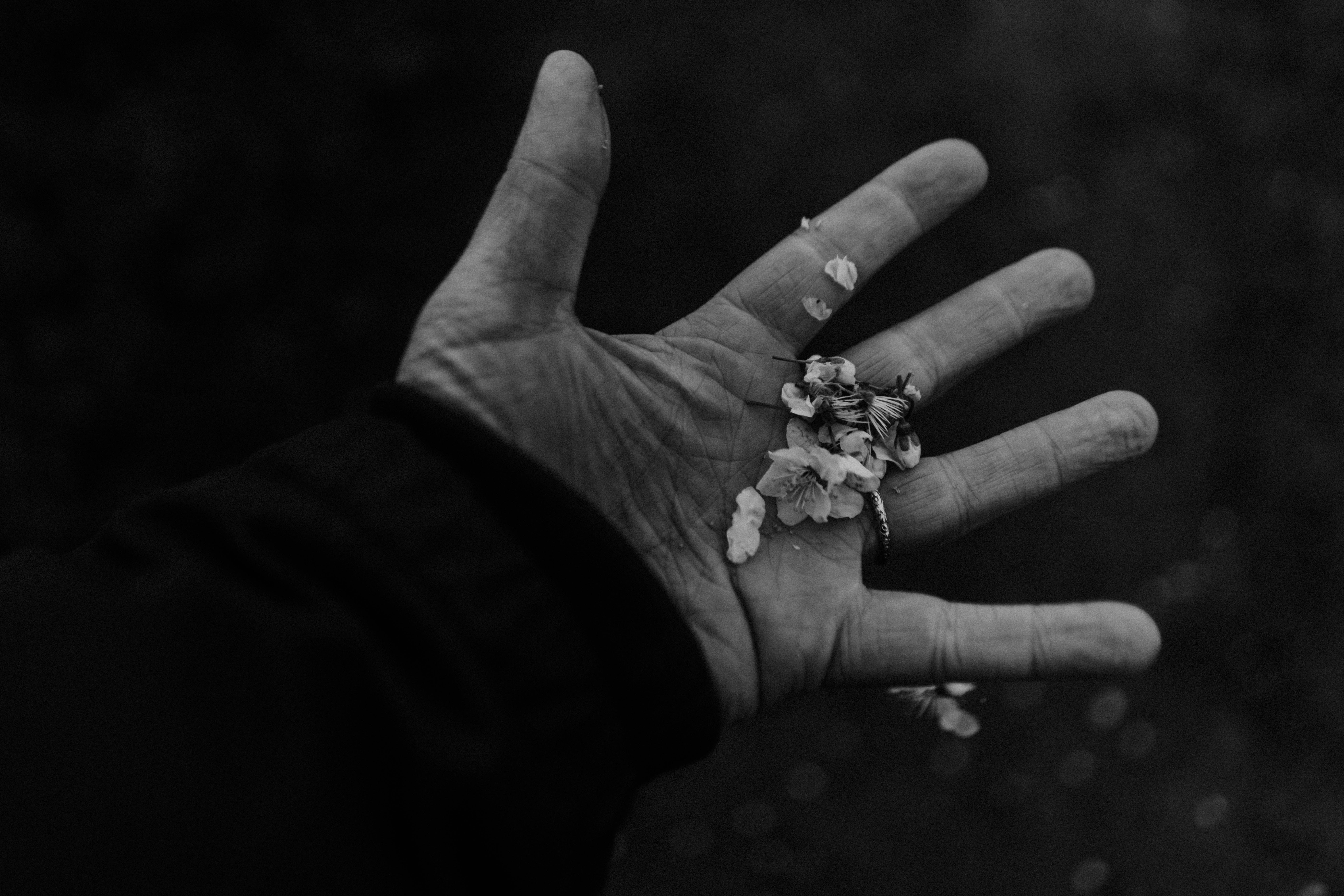 Photo by philhearing