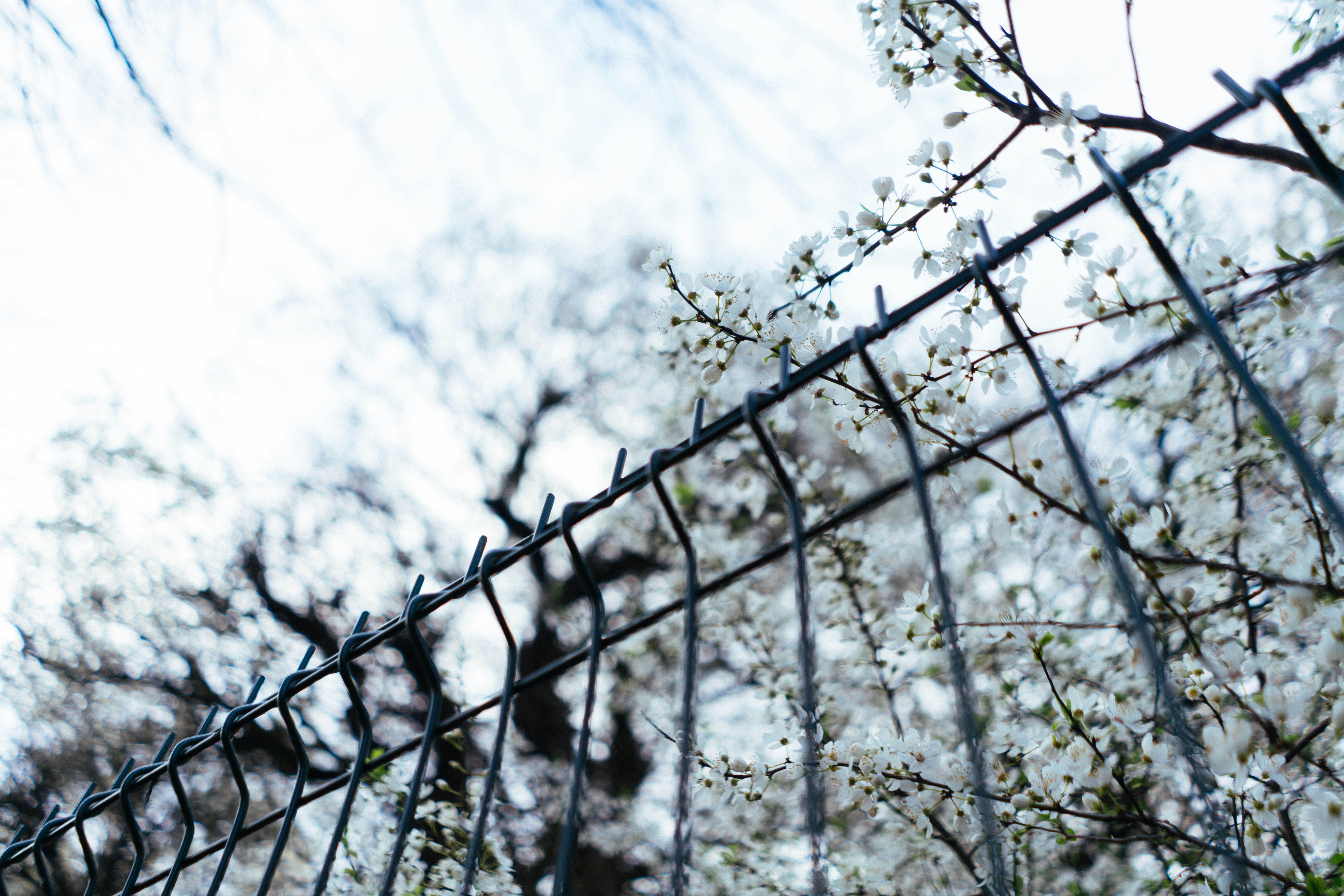 Photo by philhearing