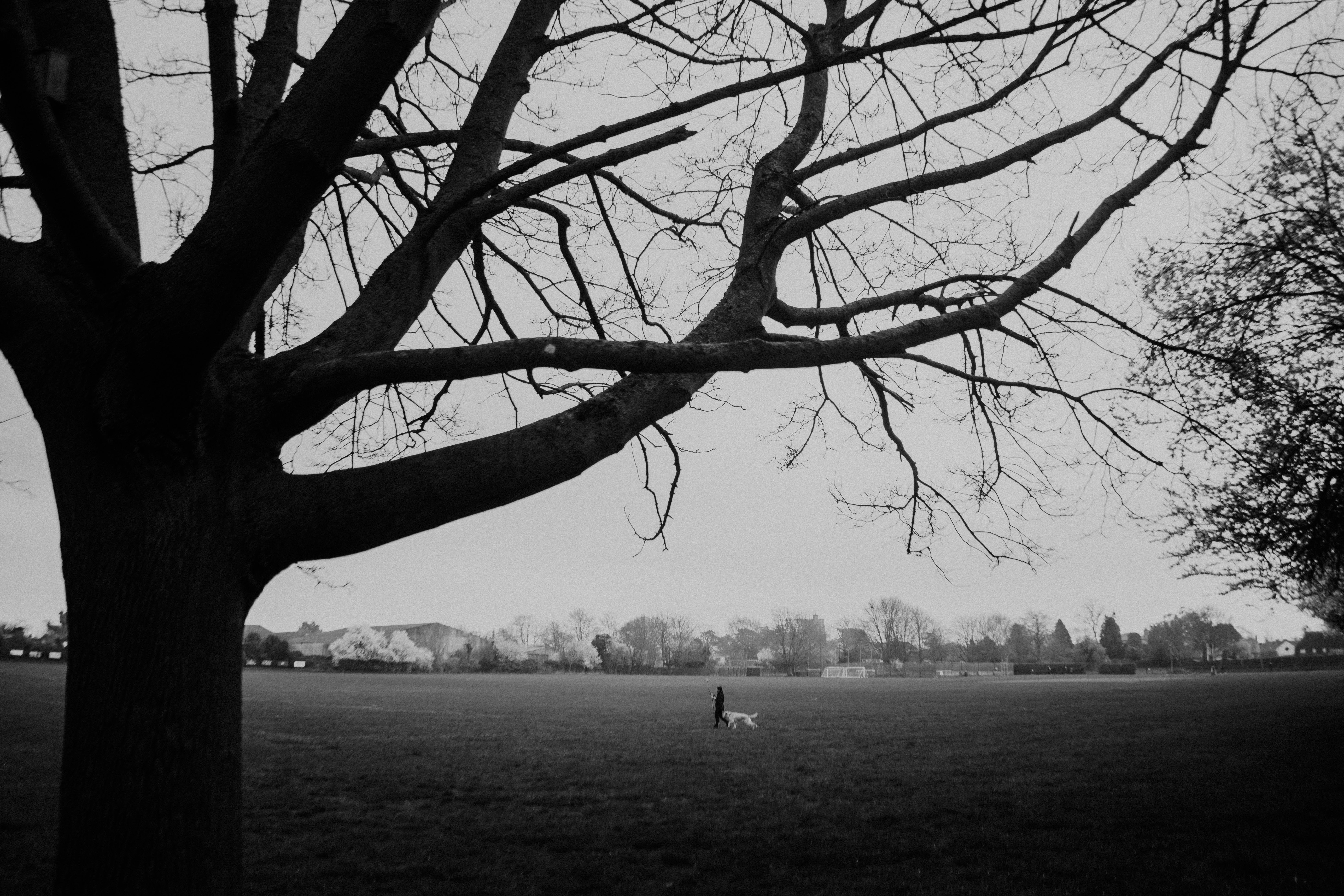 Photo by philhearing