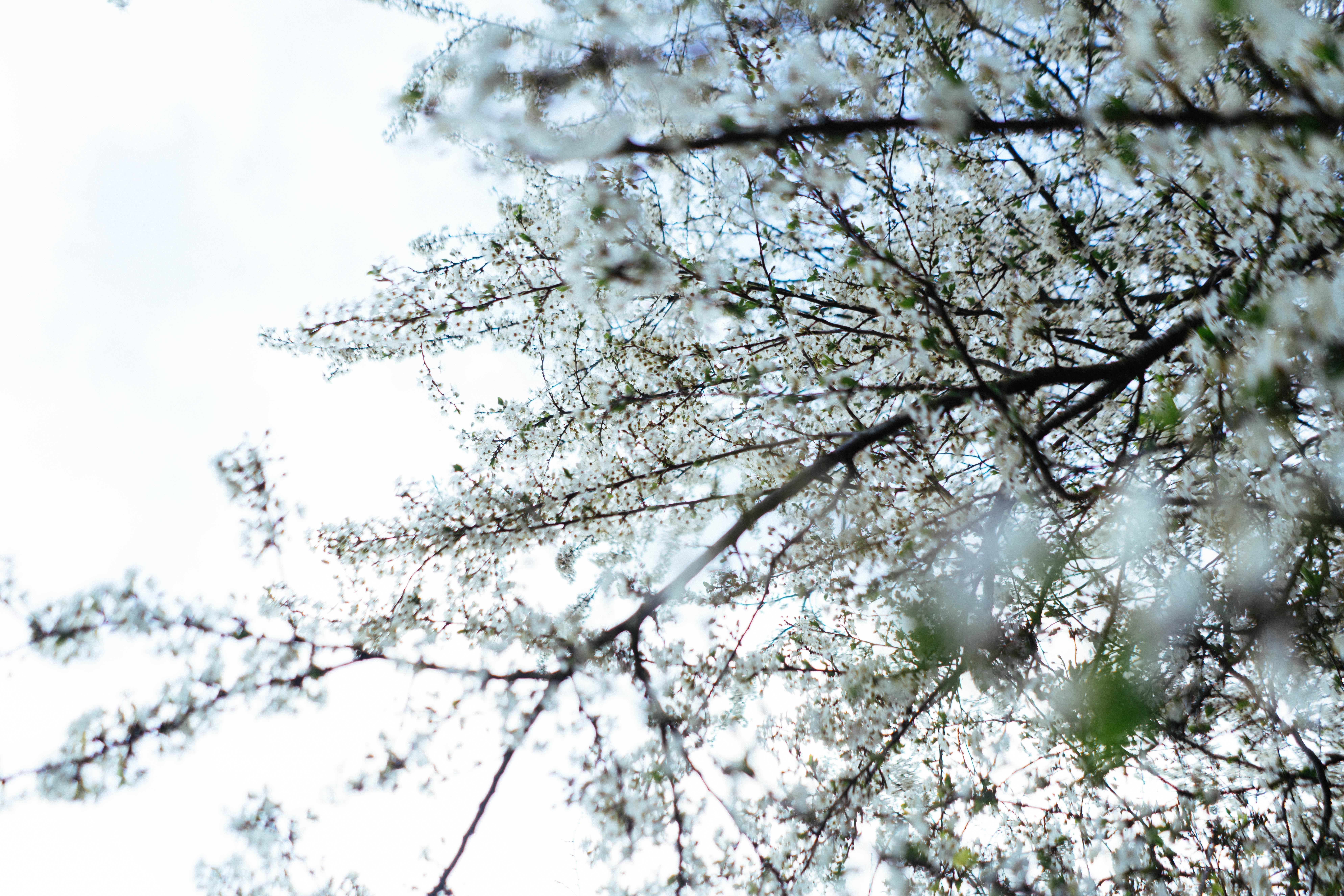 Photo by philhearing