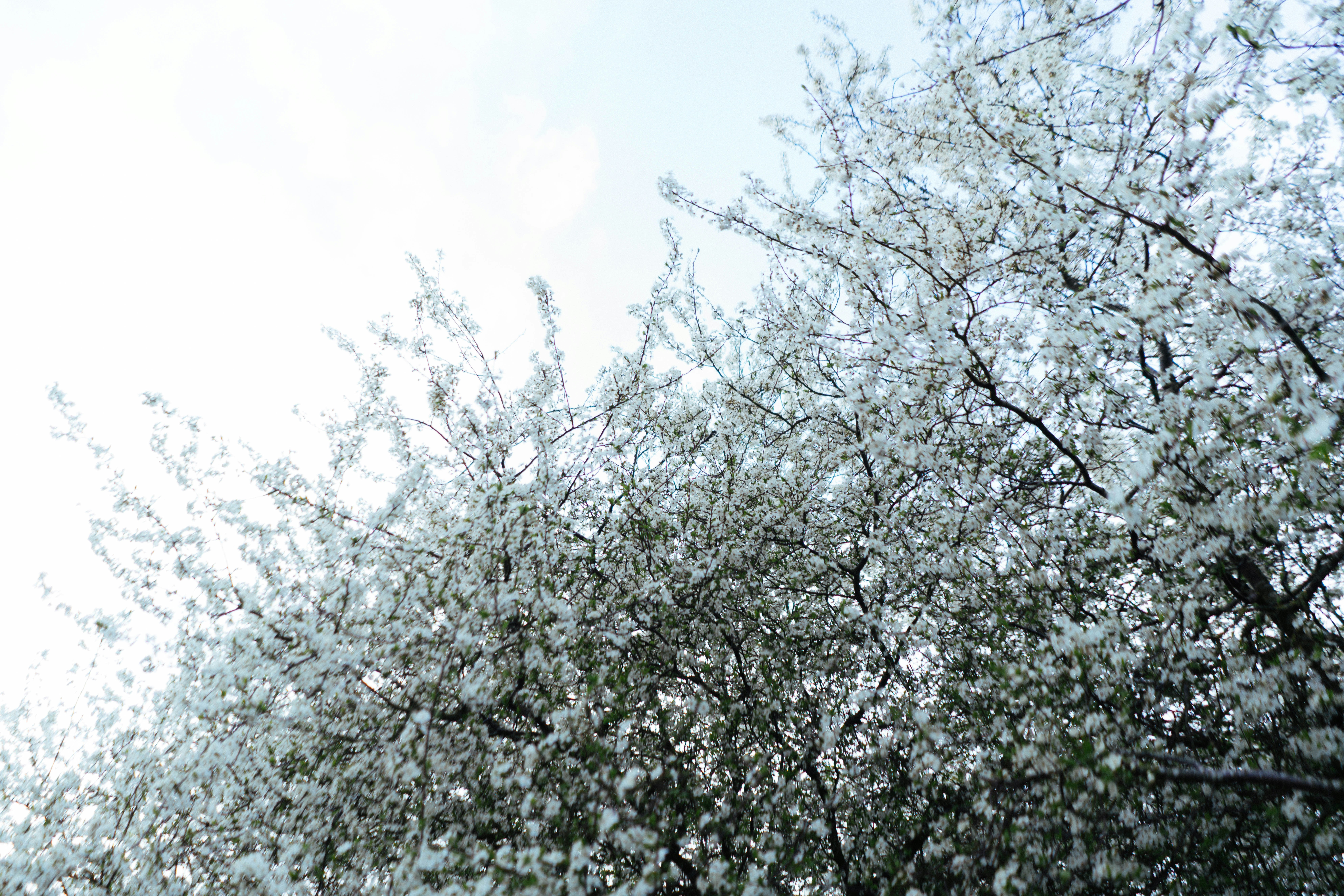 Photo by philhearing