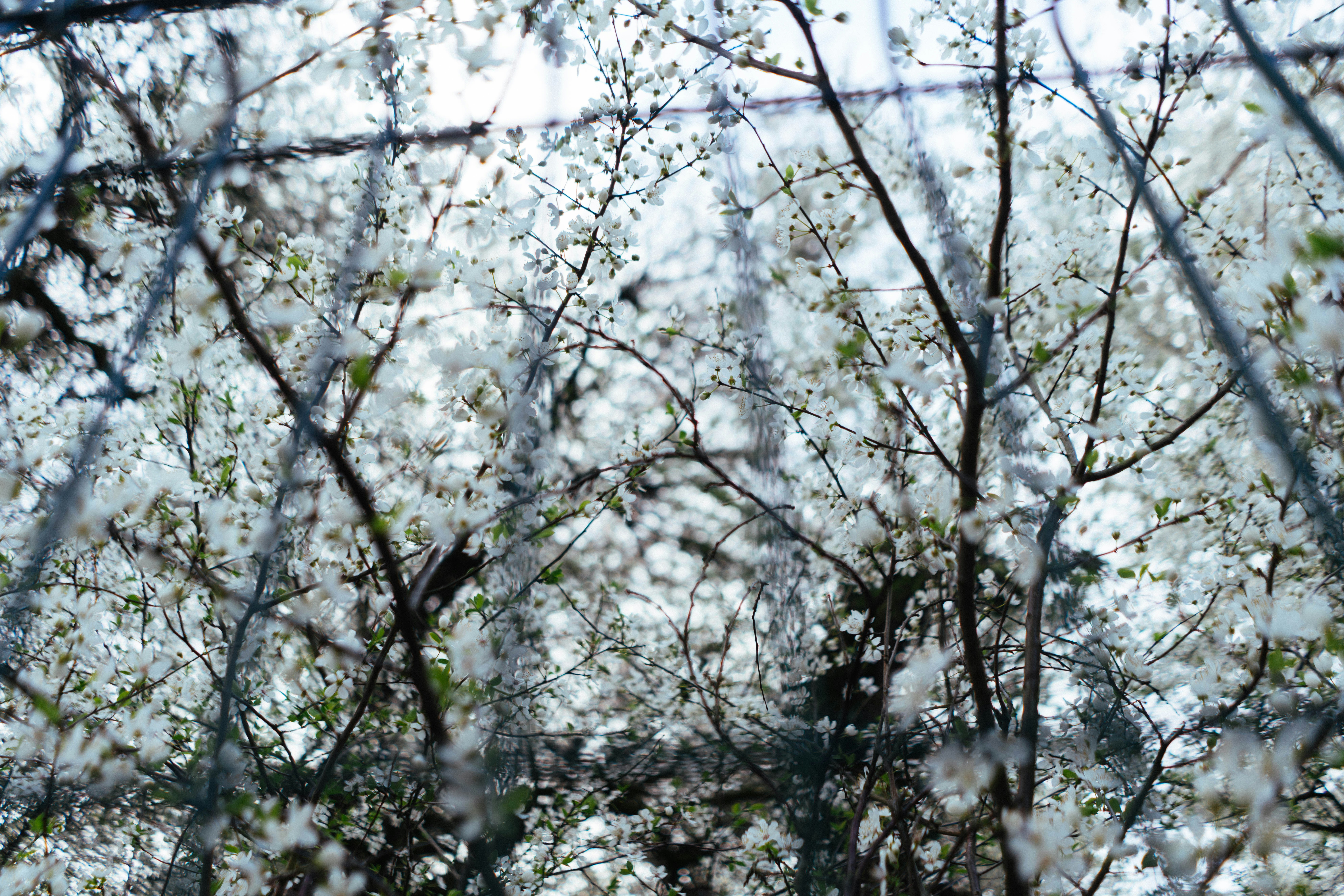 Photo by philhearing