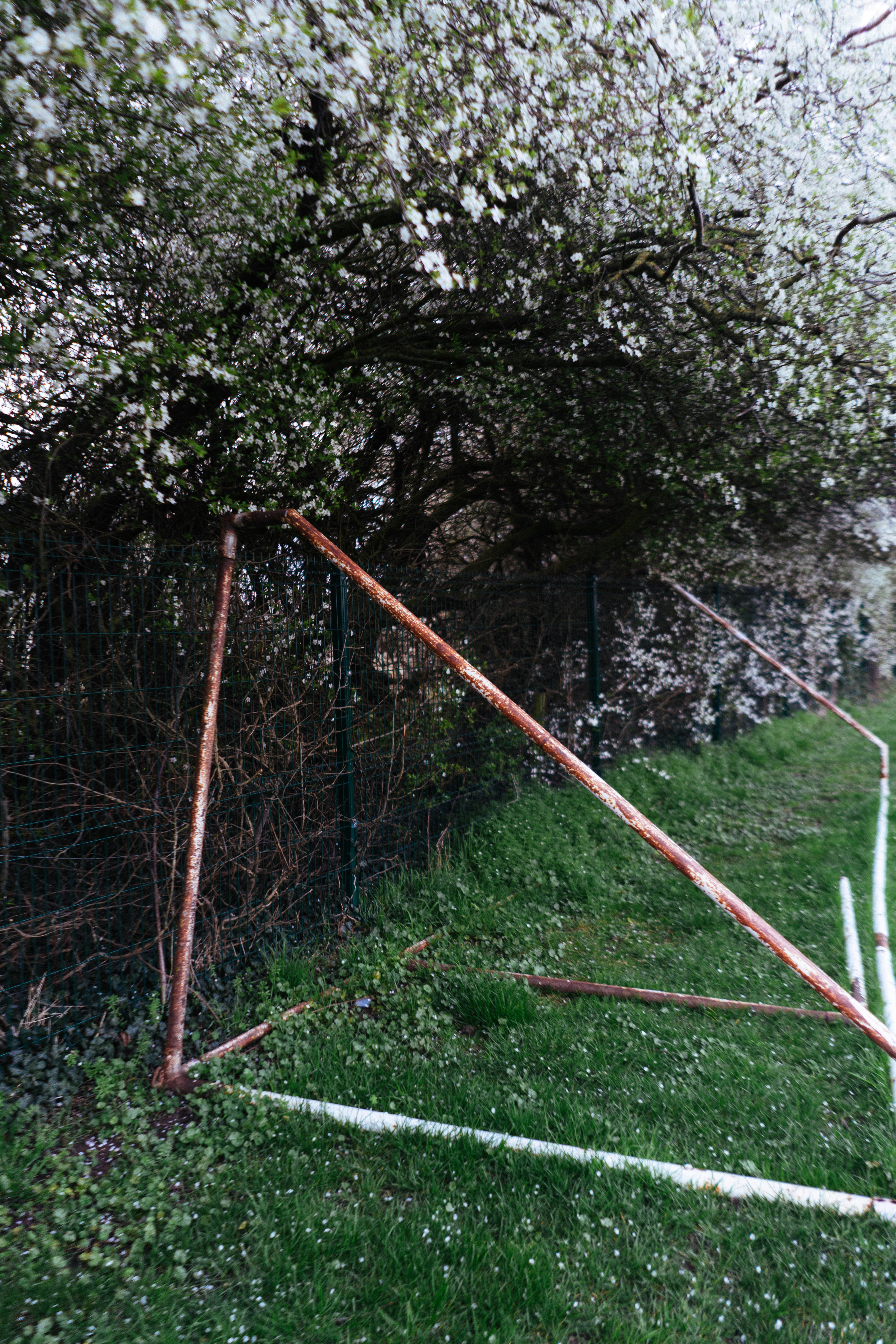 Photo by philhearing