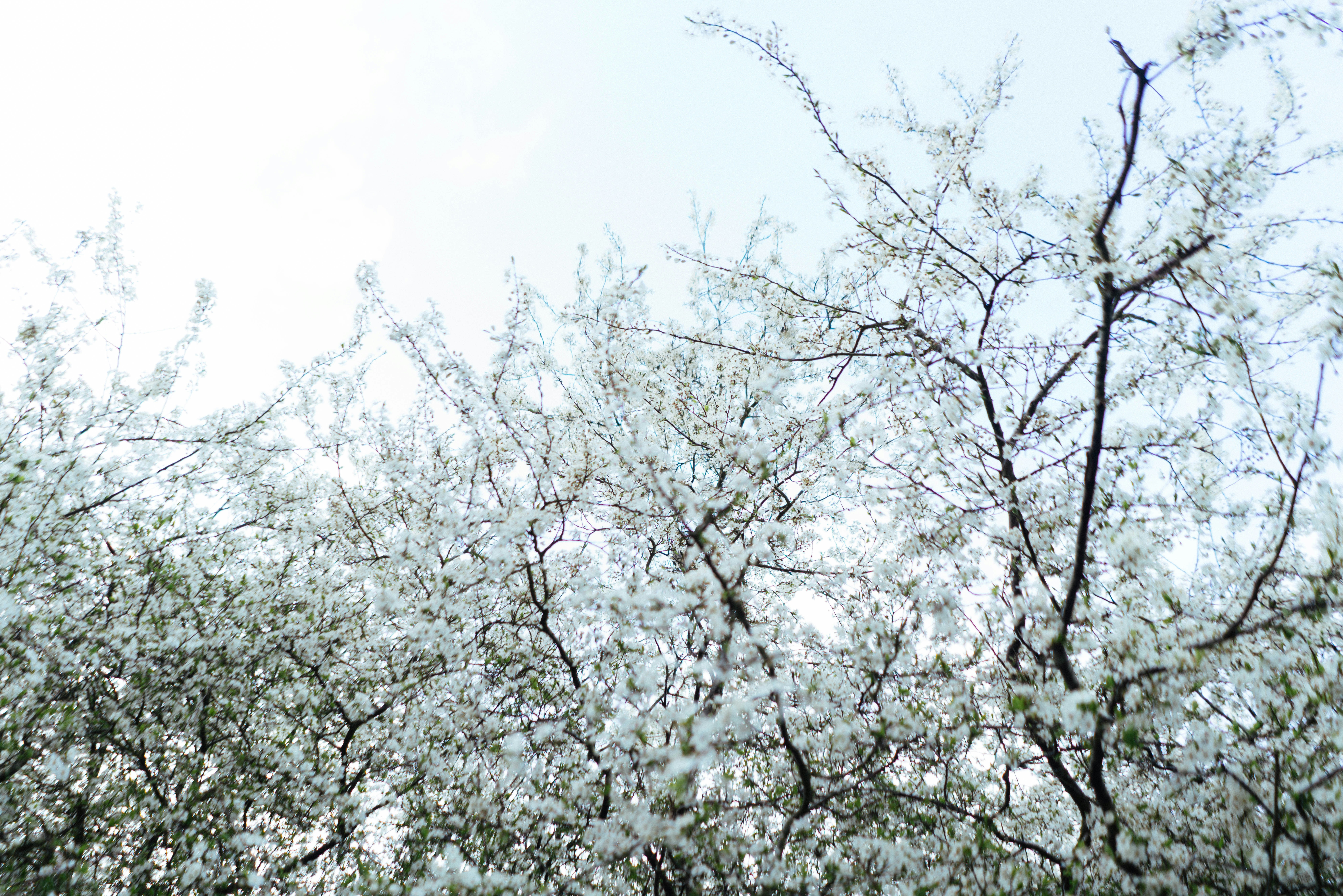 Photo by philhearing