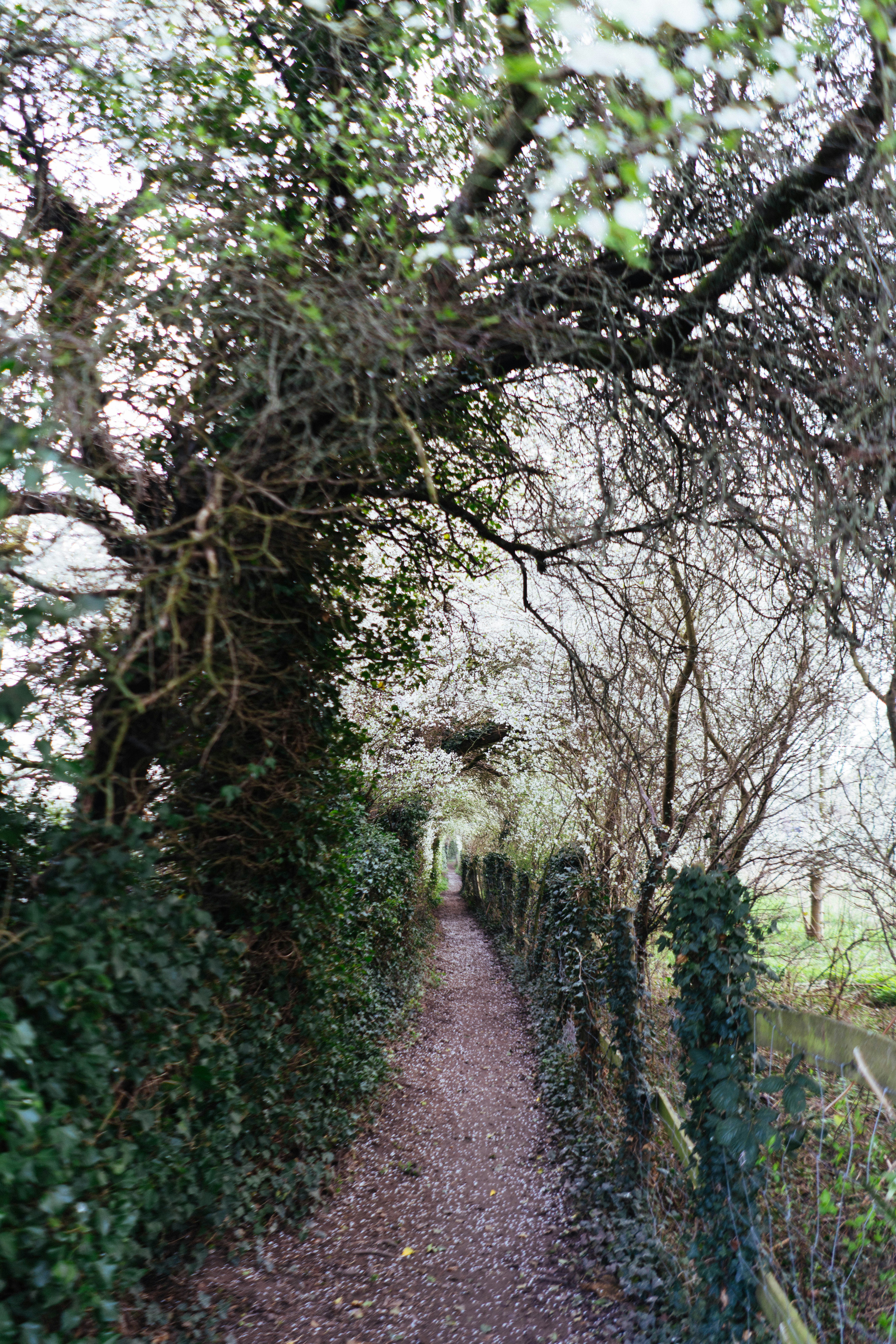 Photo by philhearing