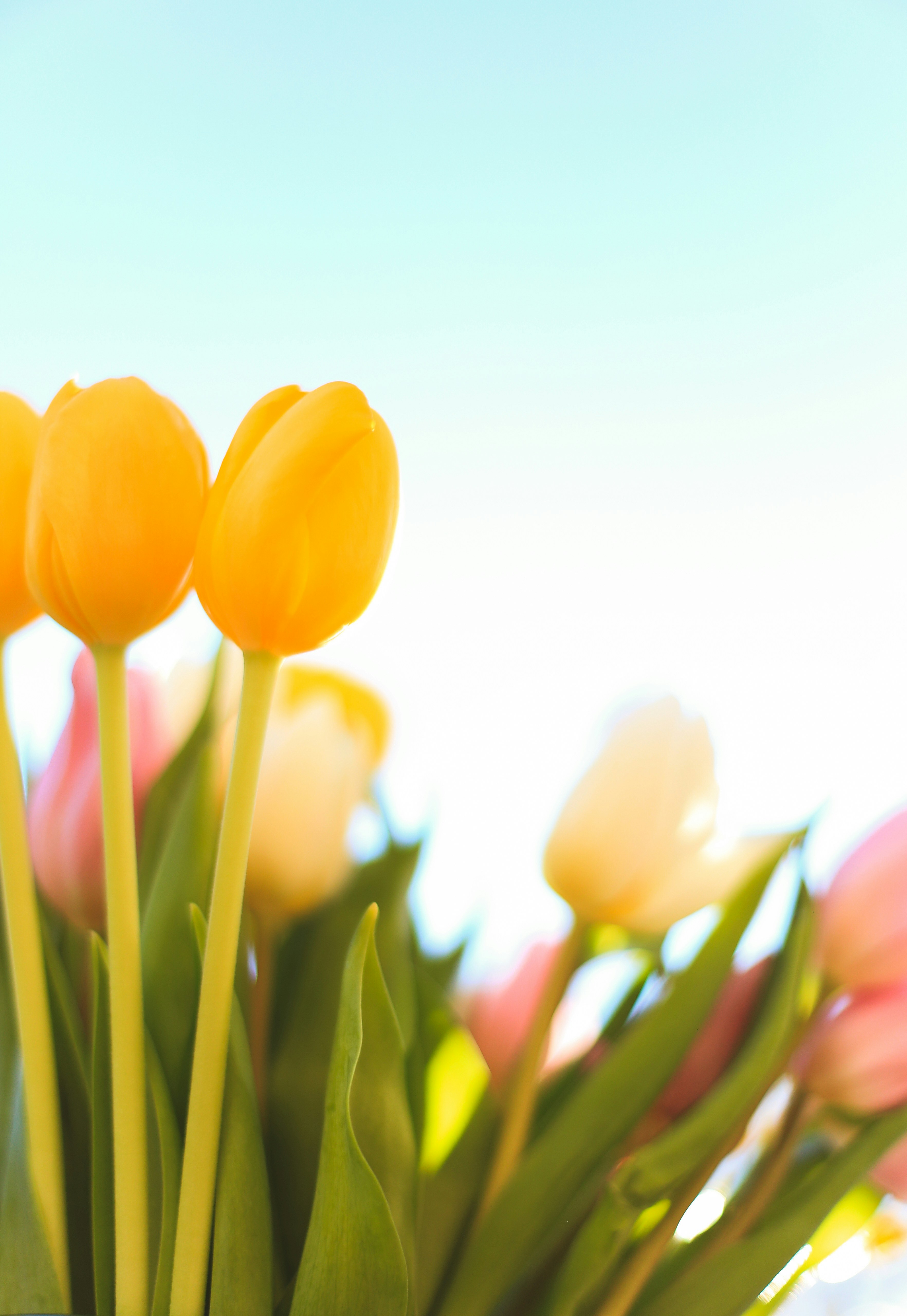 Photo by jessicalfadel