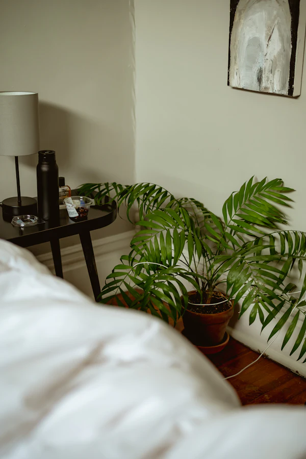 A bedroom corner with a plant and bedside table