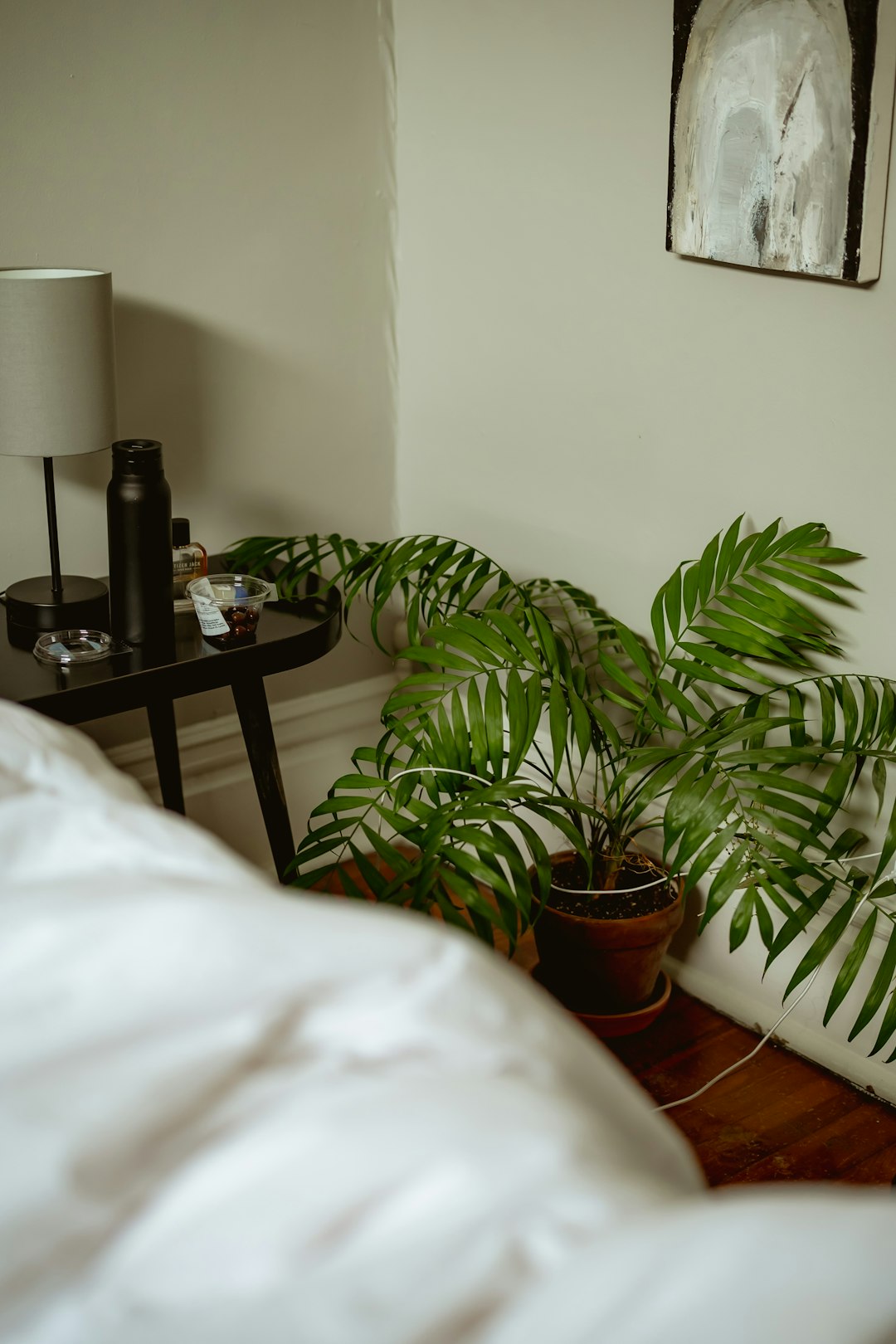 Large leafy plant in the corner of a warm neutral bedroom