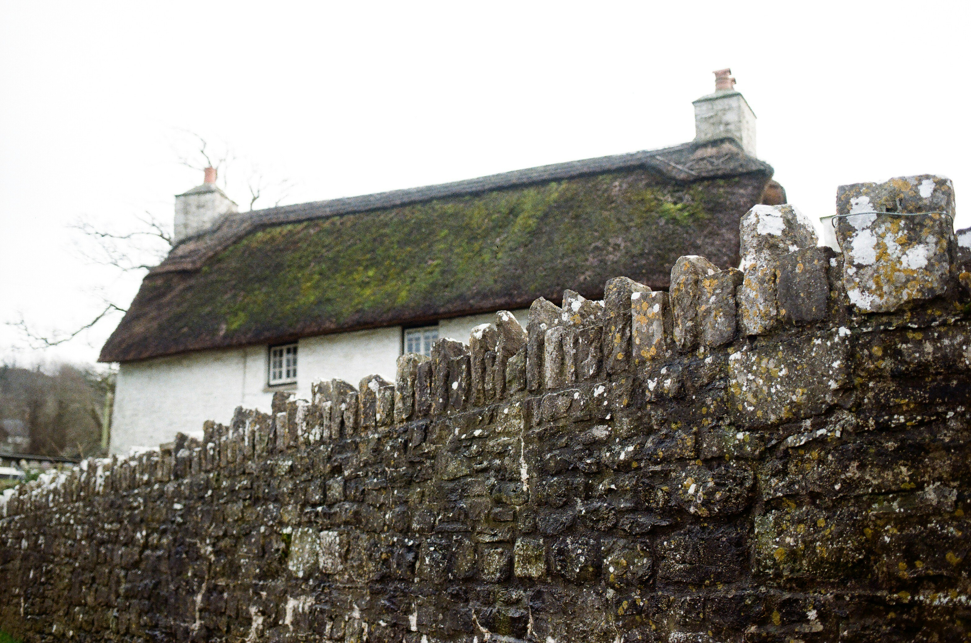 Photo by tanyabarrow