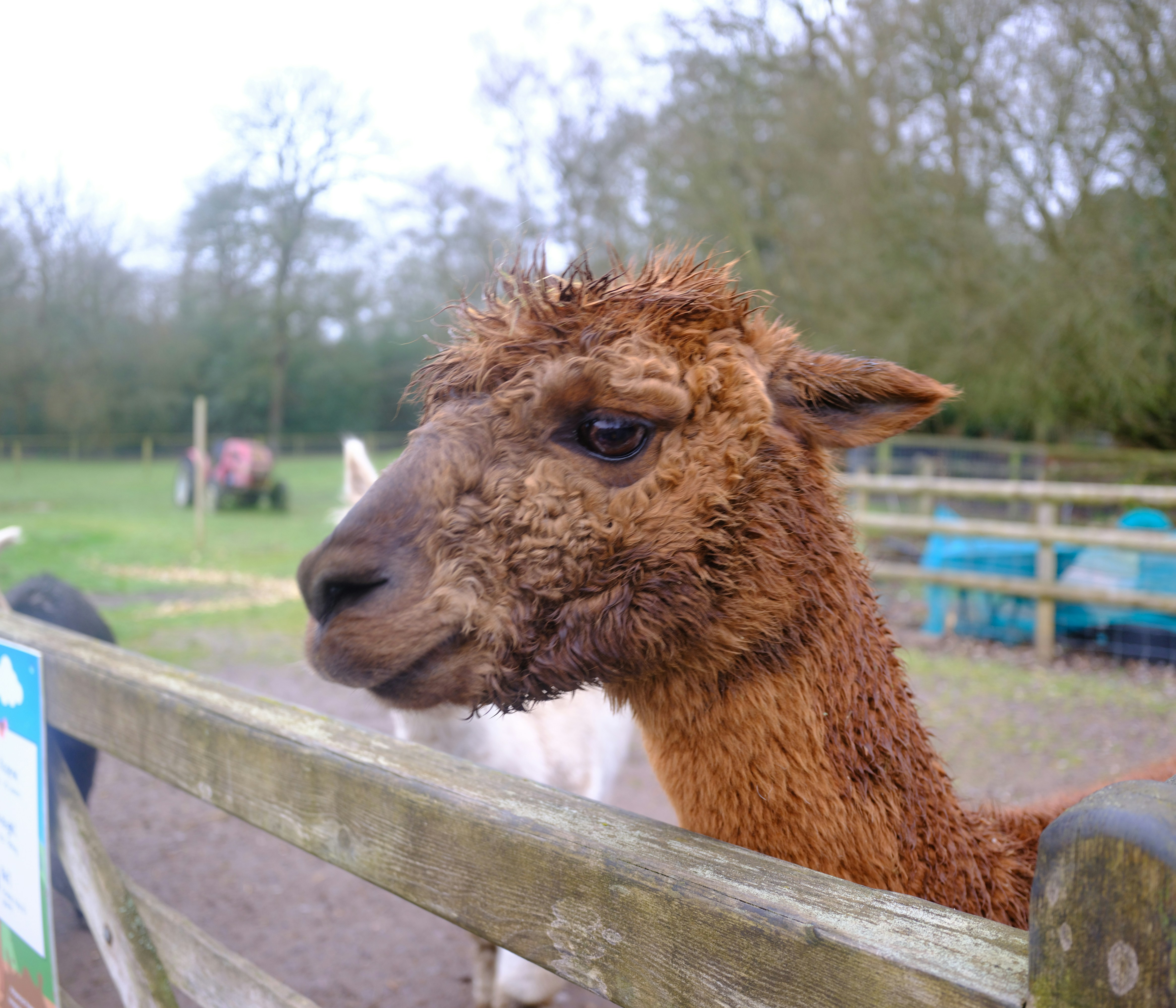 Photo by tanyabarrow