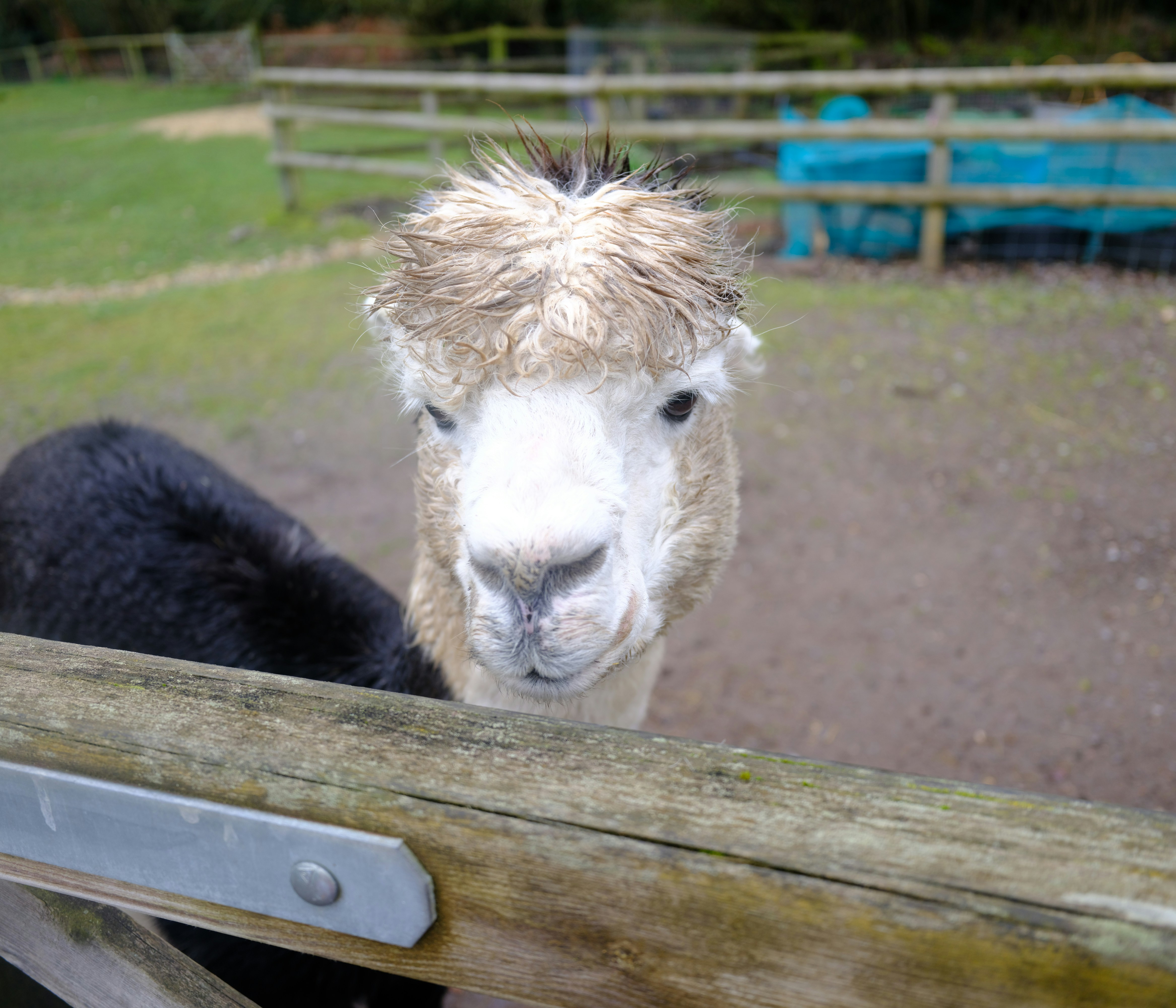 Photo by tanyabarrow