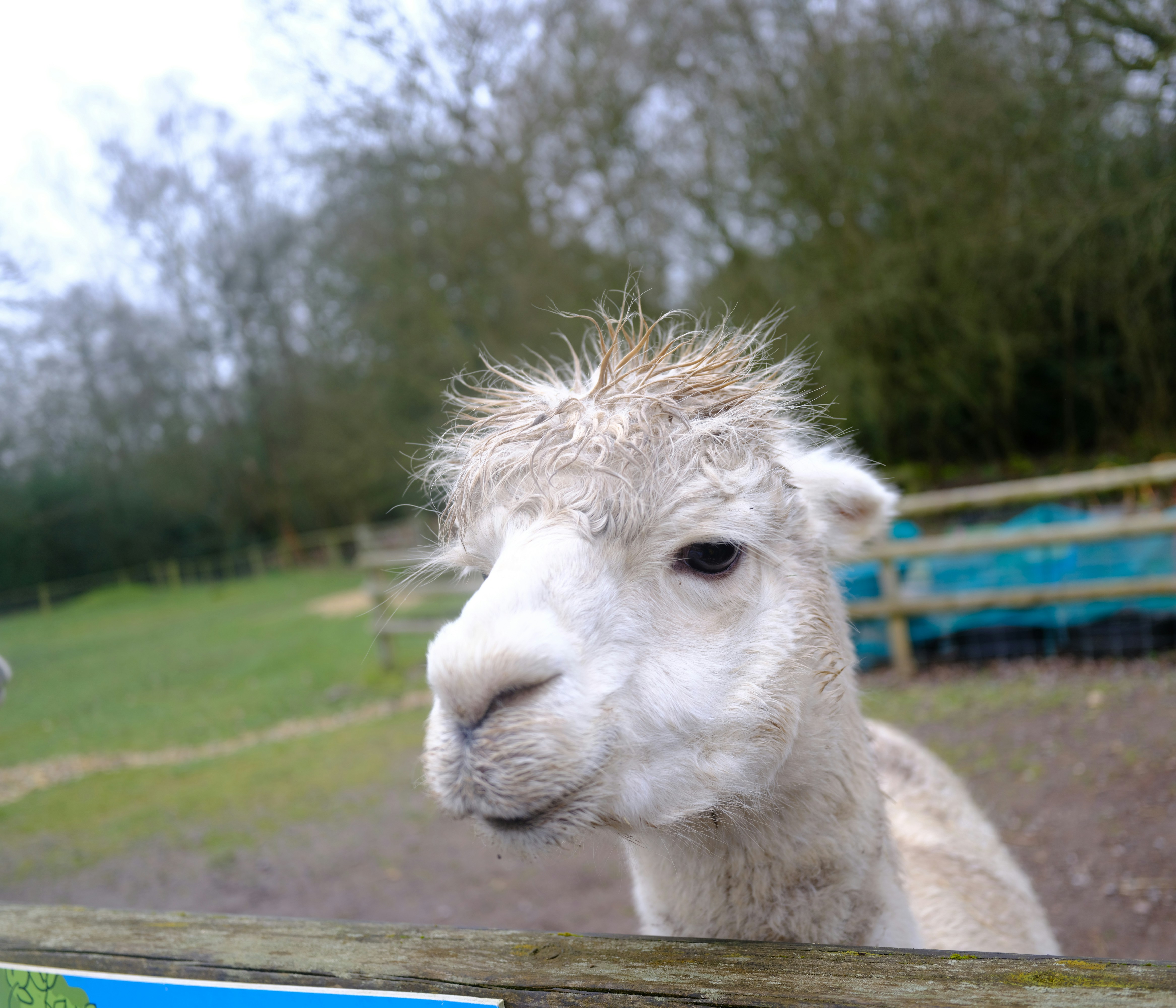 Photo by tanyabarrow