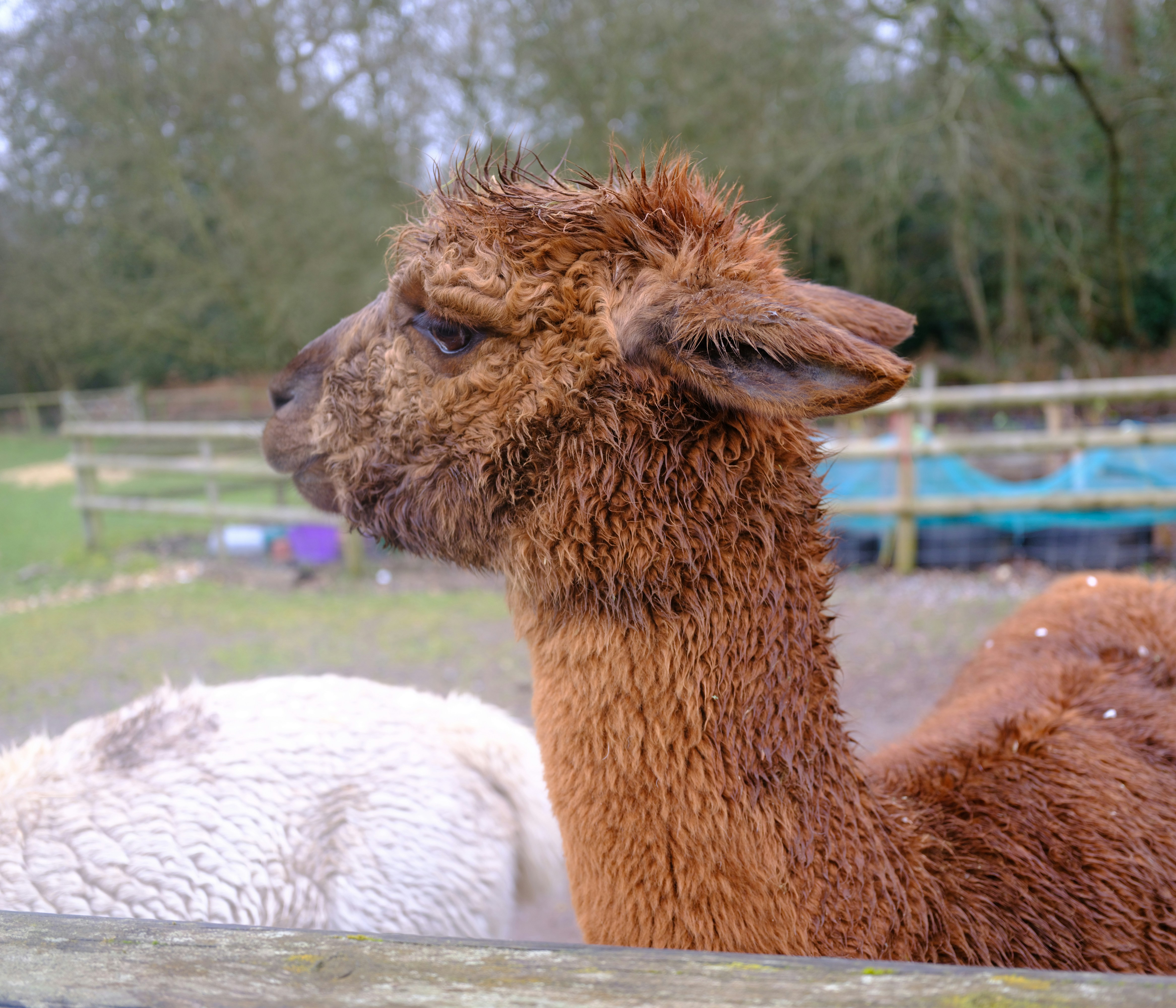 Photo by tanyabarrow