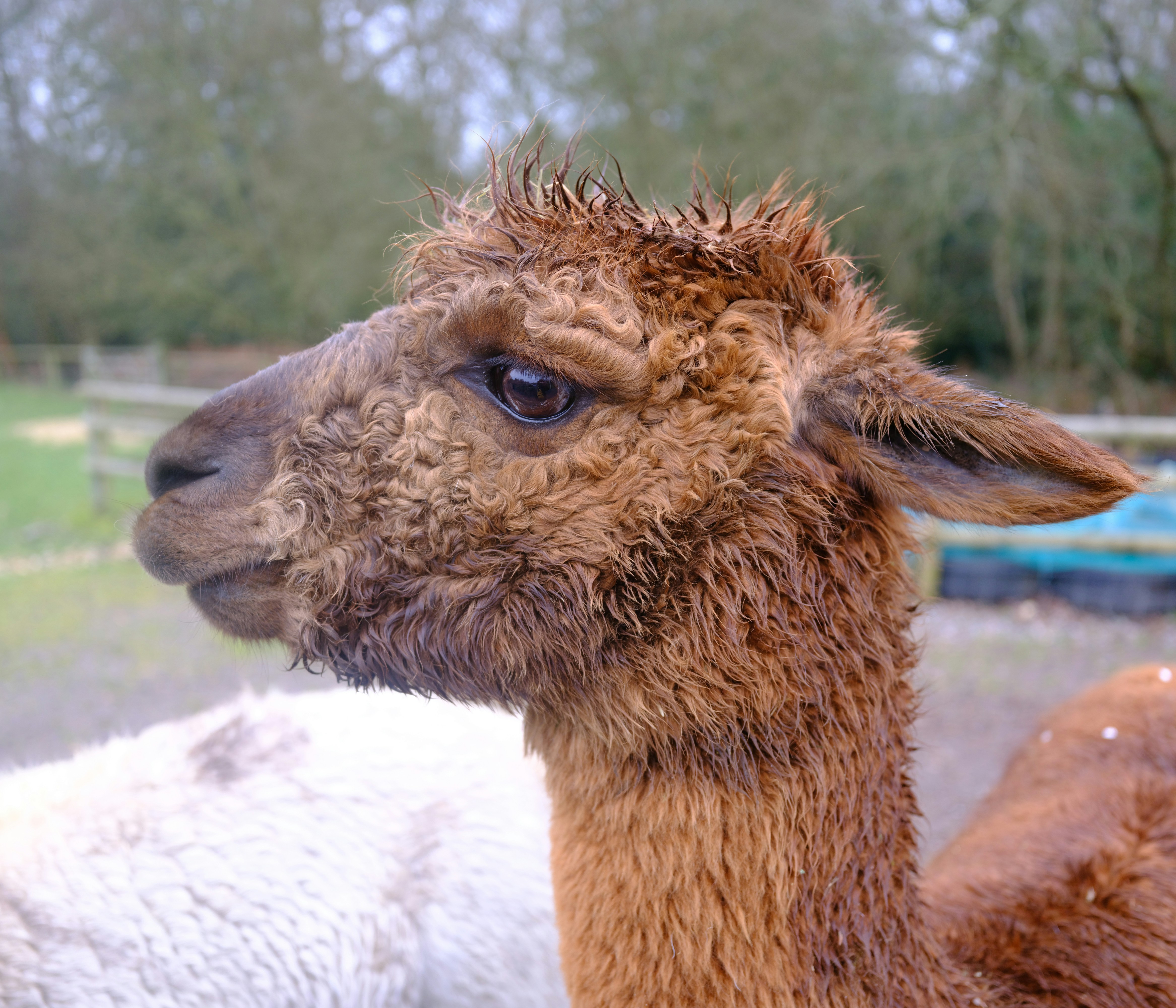 Photo by tanyabarrow