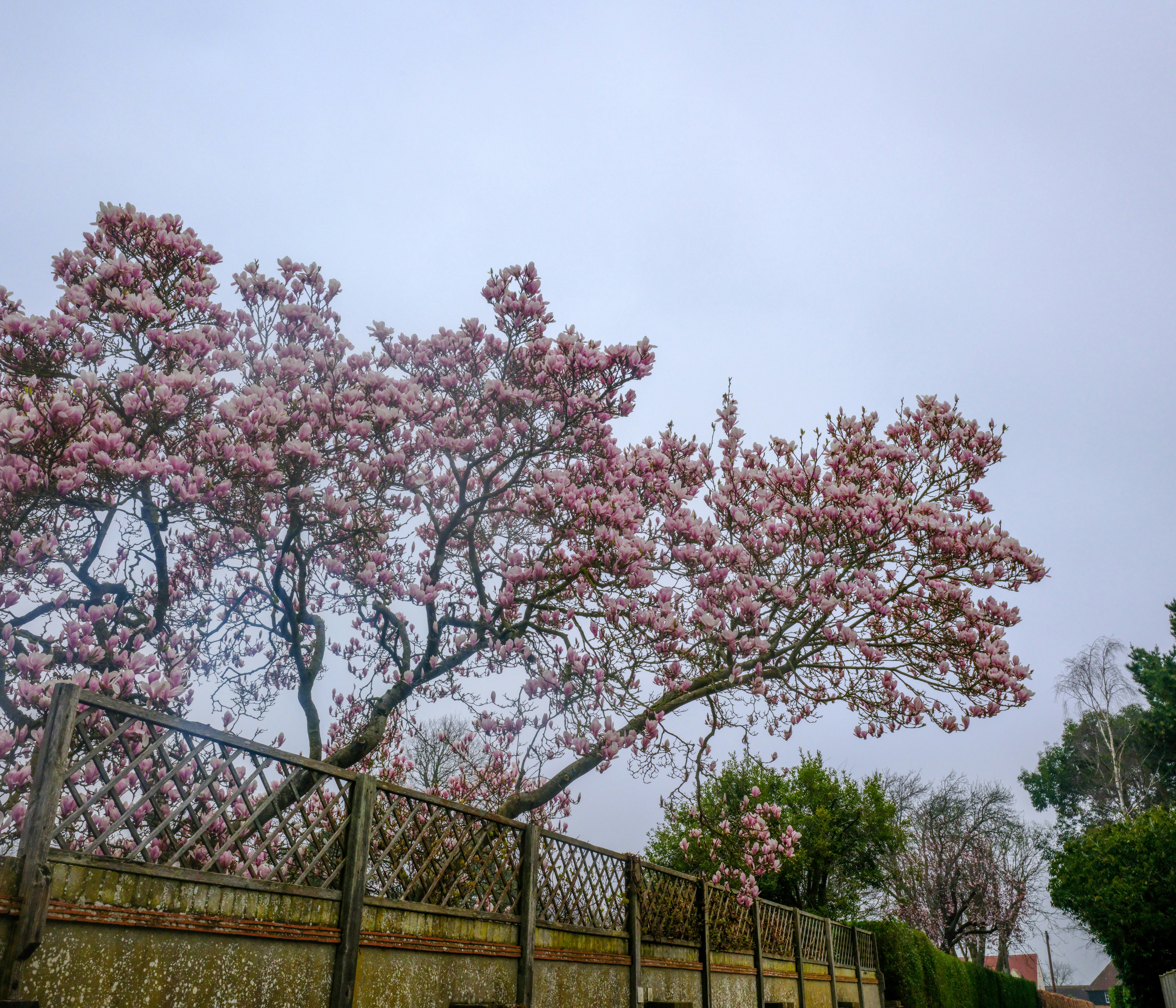 Photo by tanyabarrow