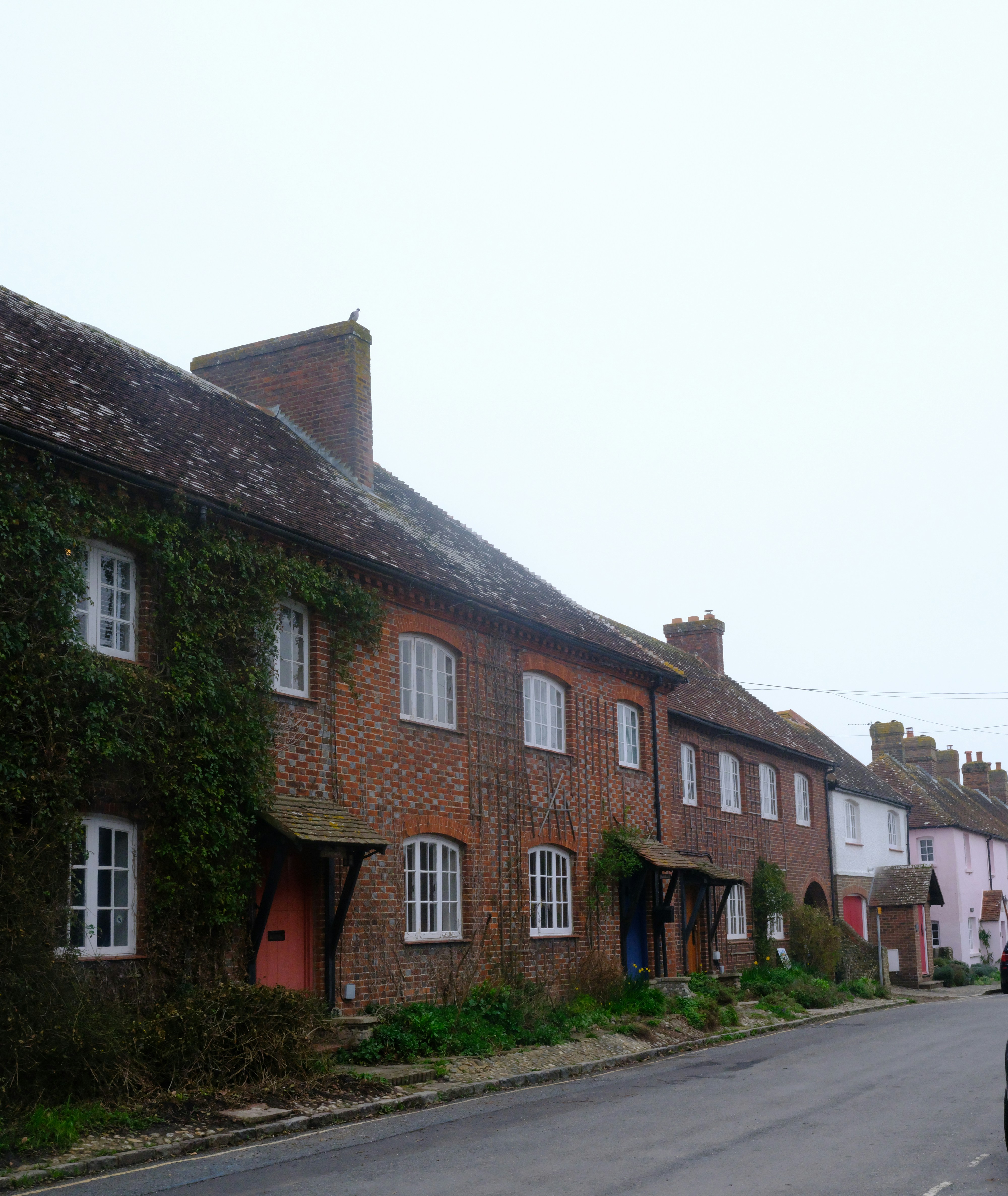 Photo by tanyabarrow