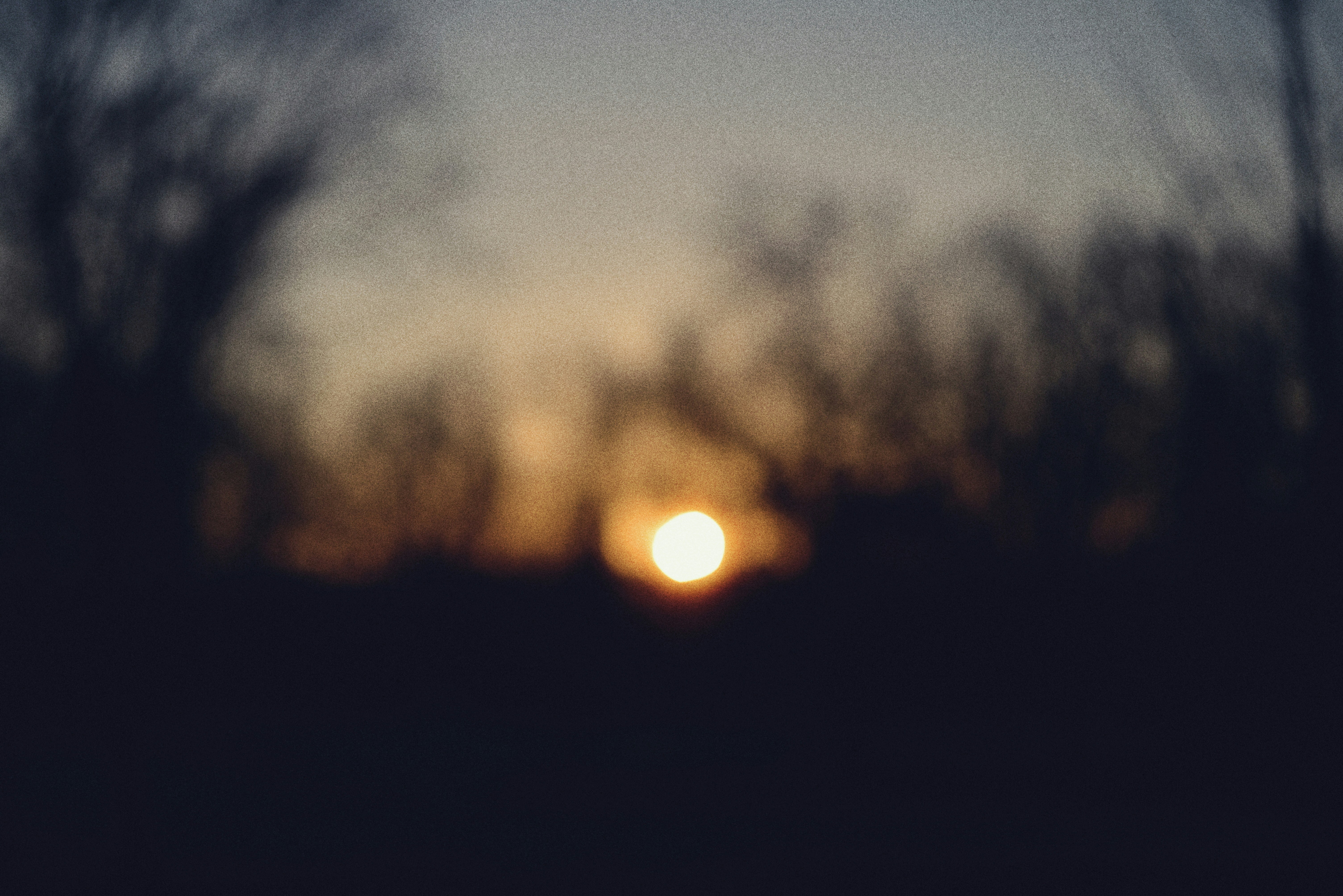 Blurred sunset behind silhouetted trees at dusk