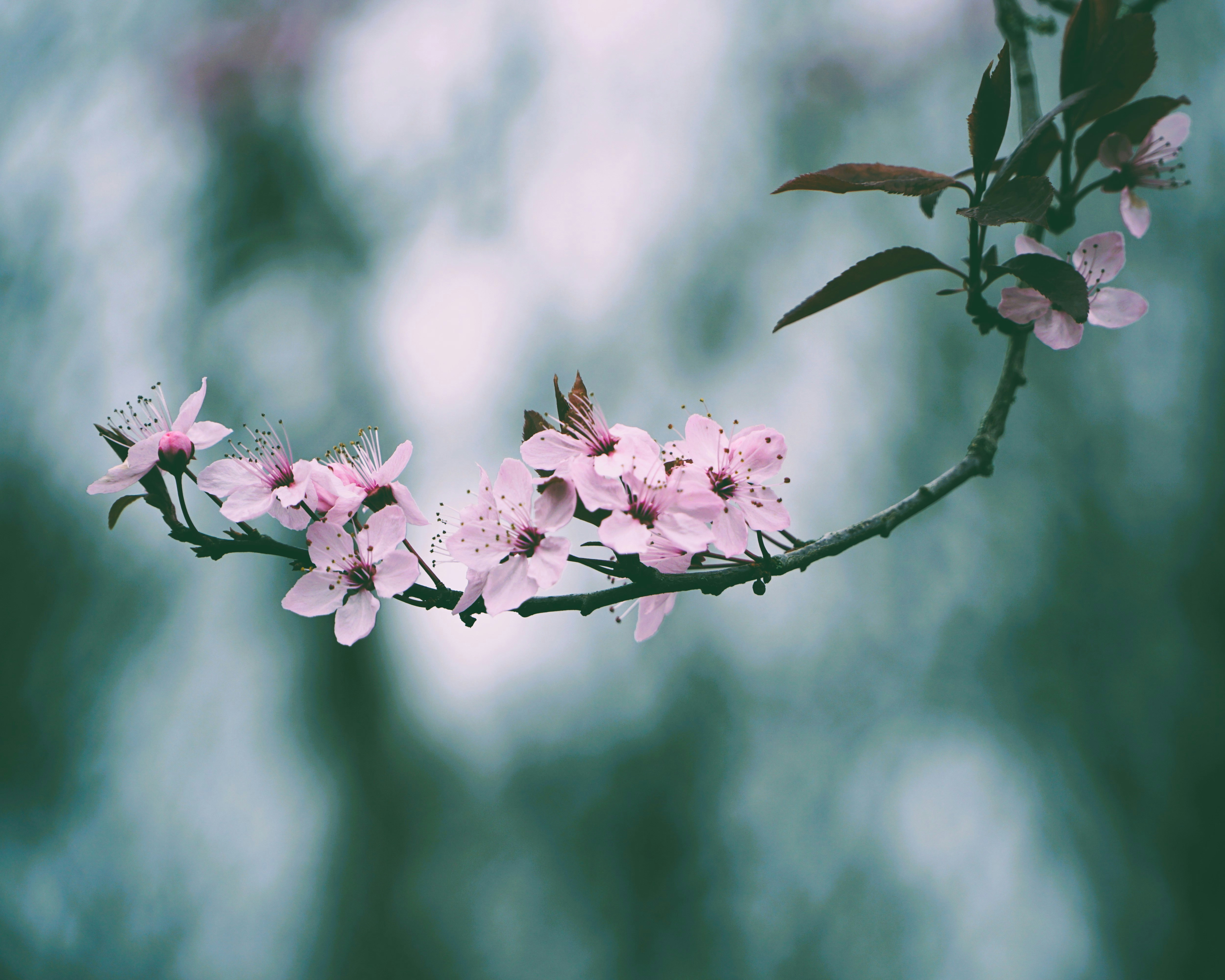 Photo by mostlymarvelling